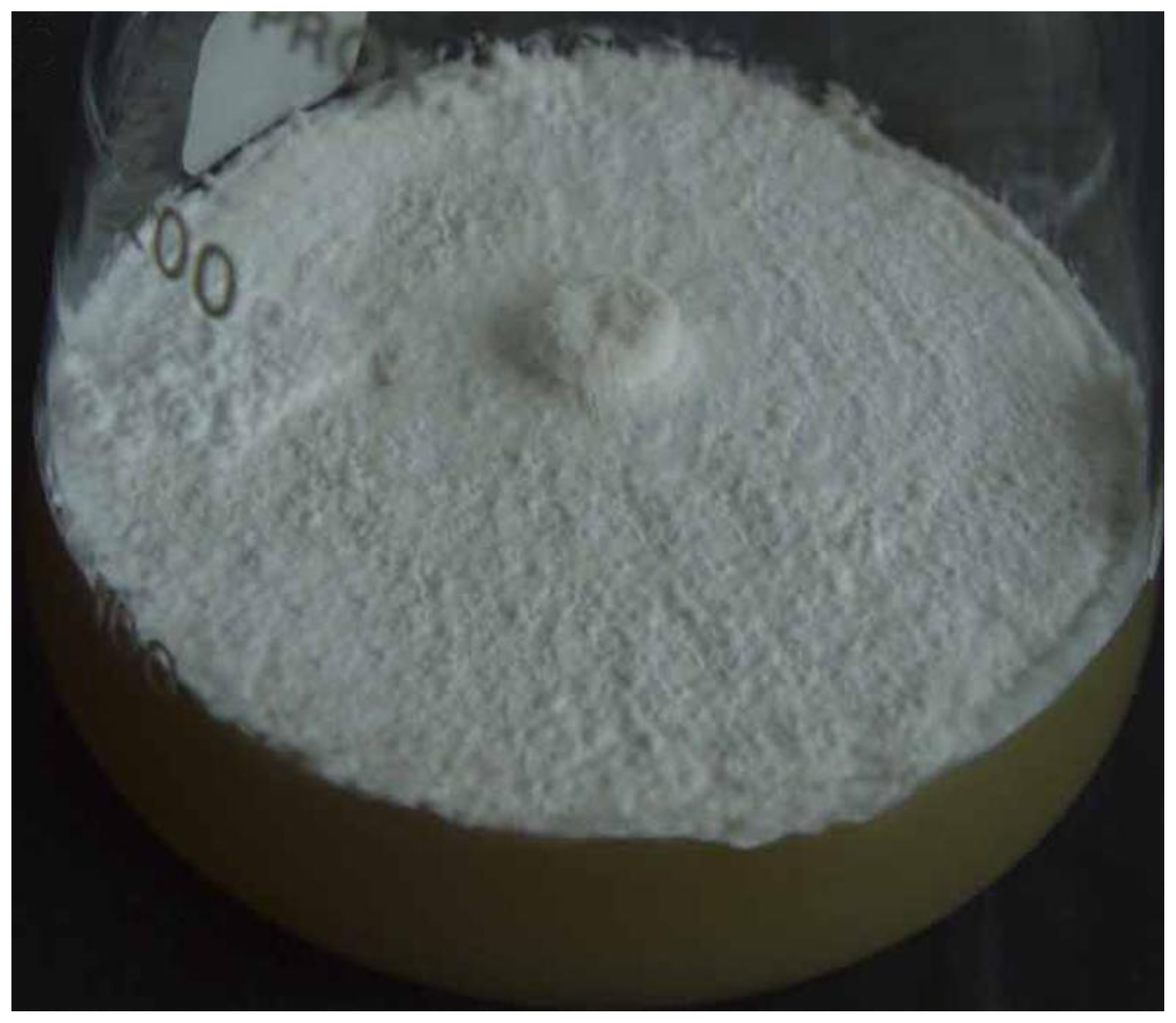 Ijms 14 22967f2 1024