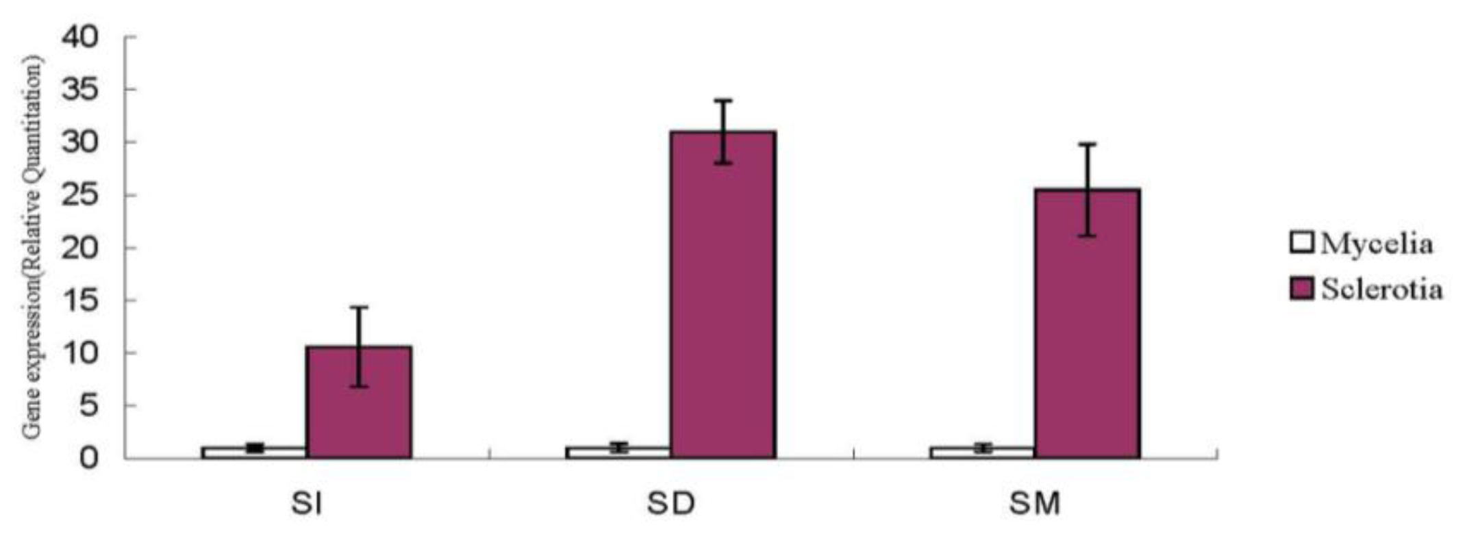 Ijms 14 22967f5 1024