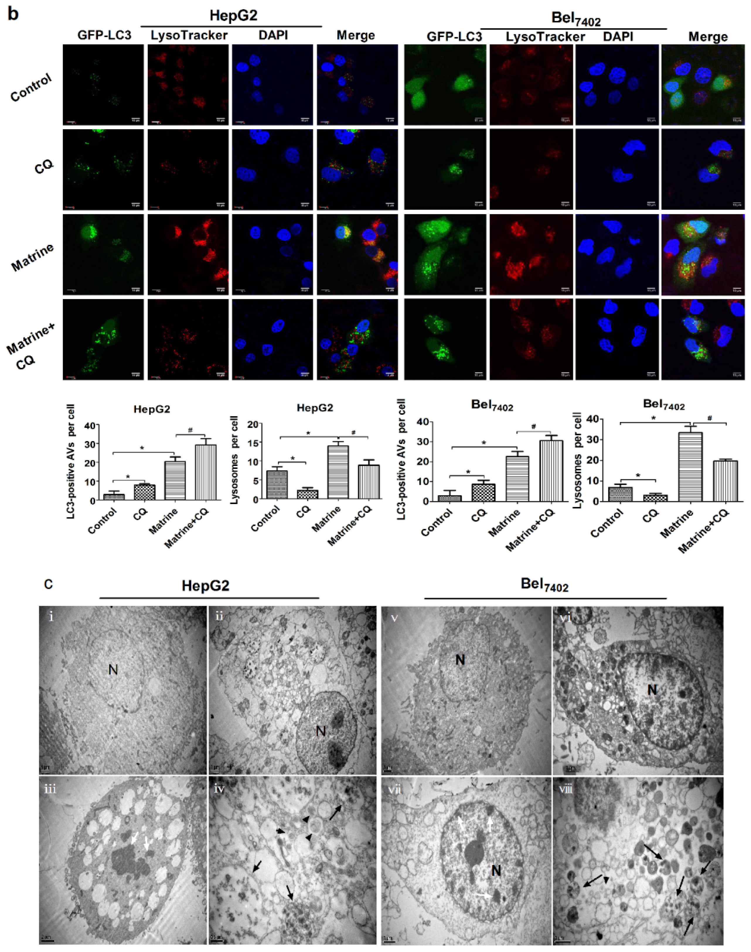 Ijms 14 23212f3b 1024