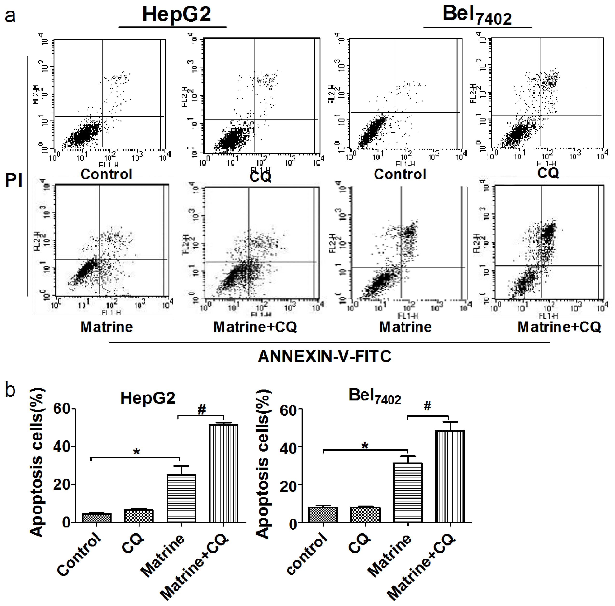 Ijms 14 23212f4a 1024