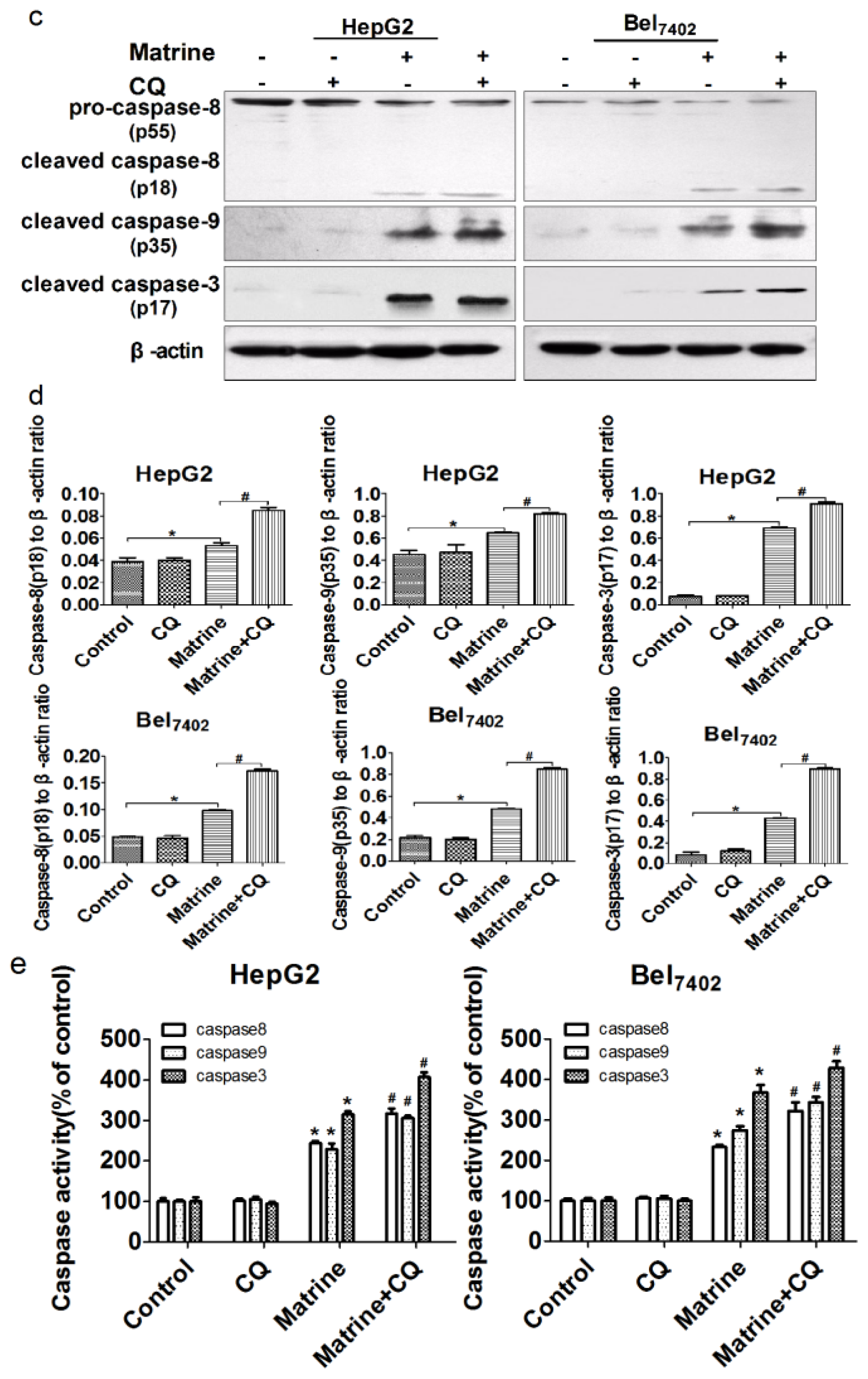 Ijms 14 23212f4b 1024