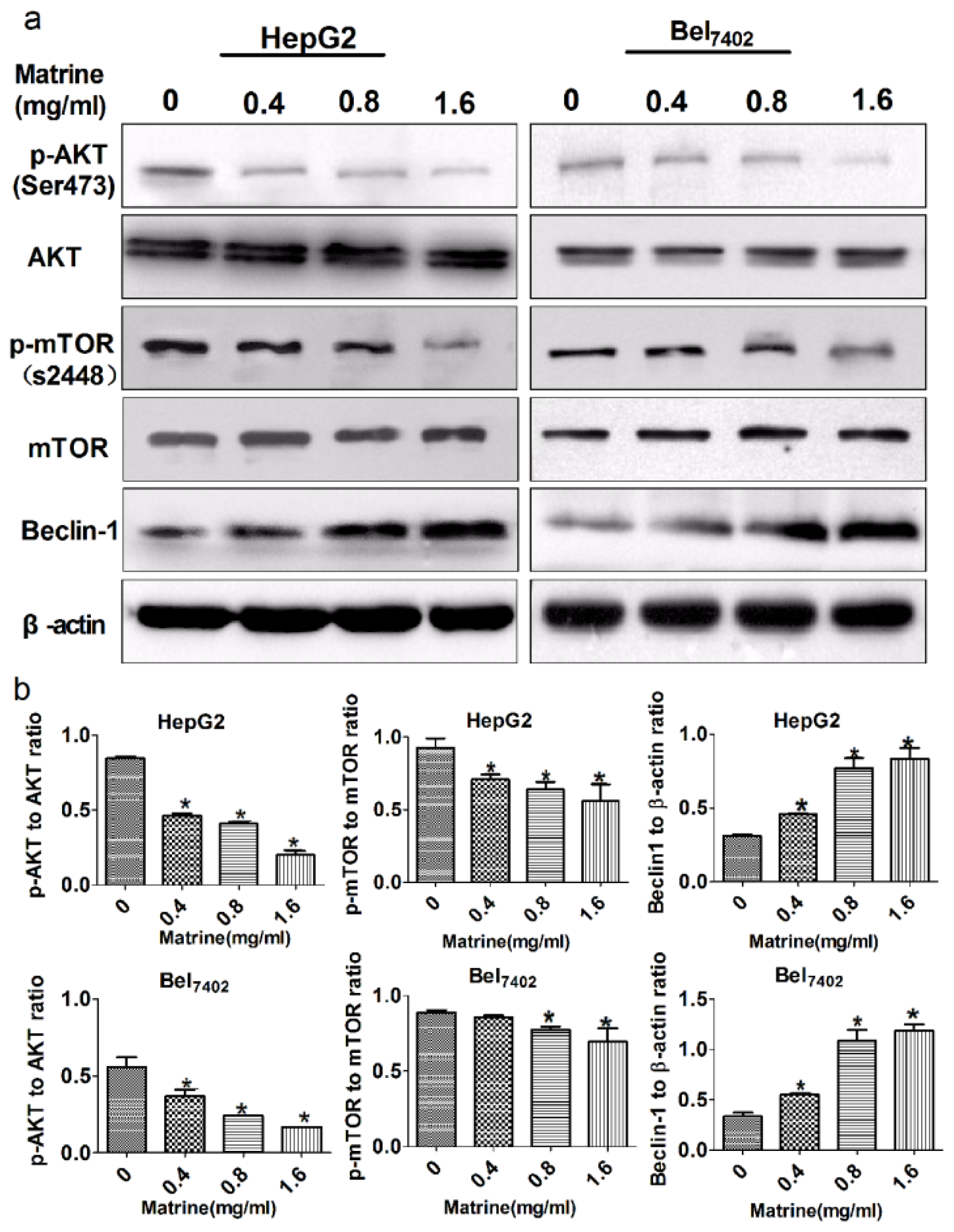 Ijms 14 23212f5 1024