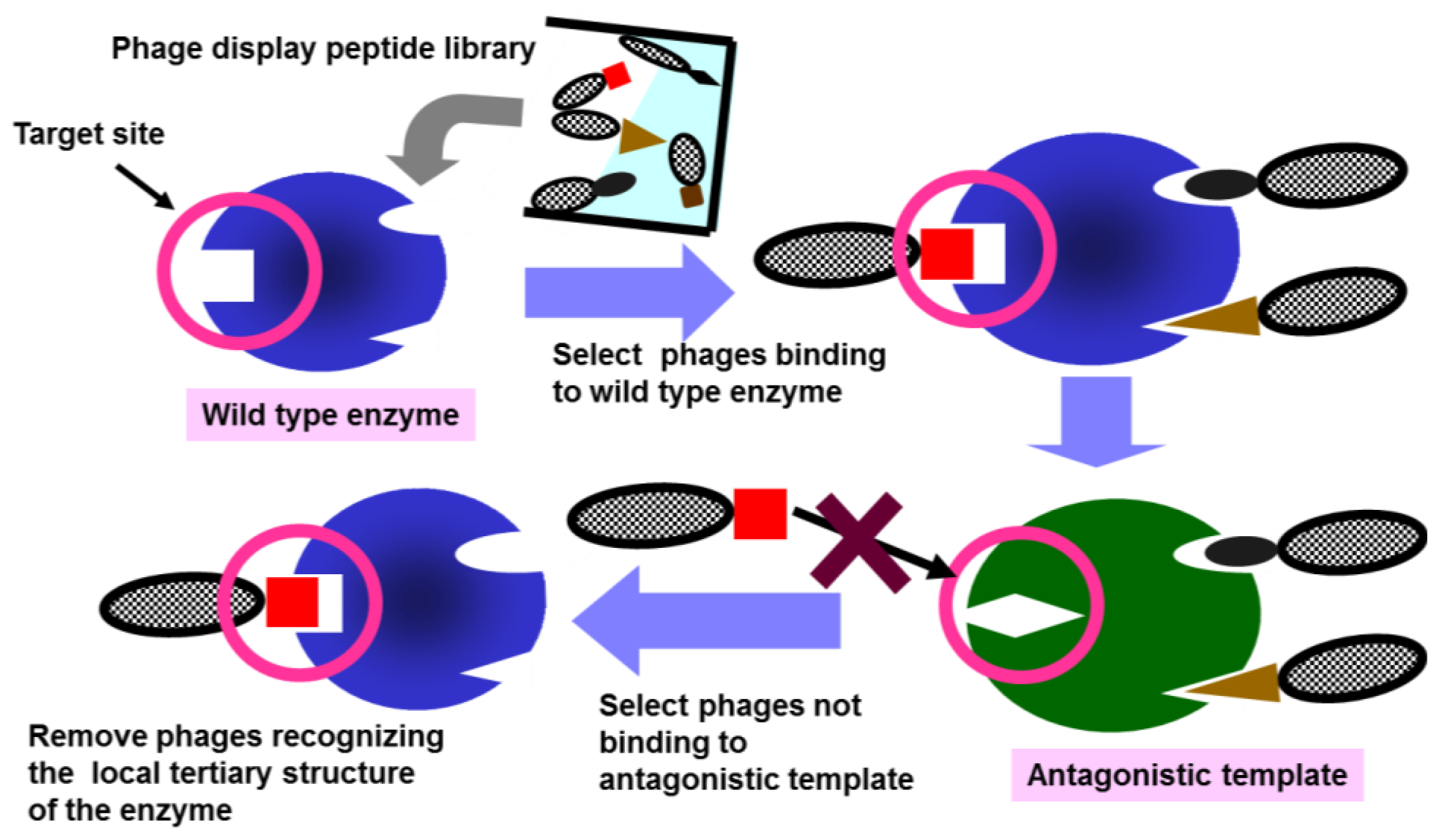 Ijms 14 23244f1 1024