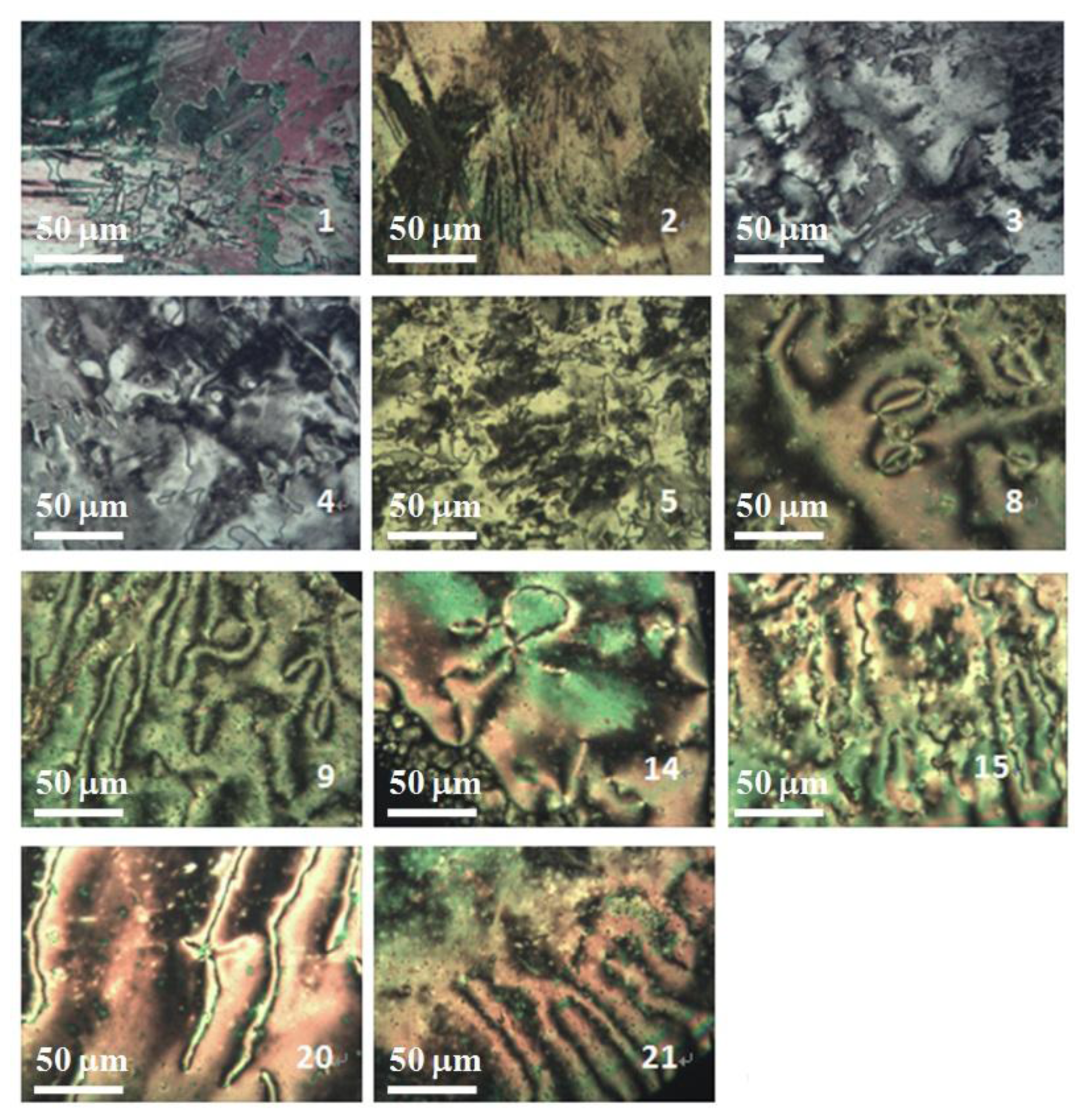 Ijms 14 23257f2 1024