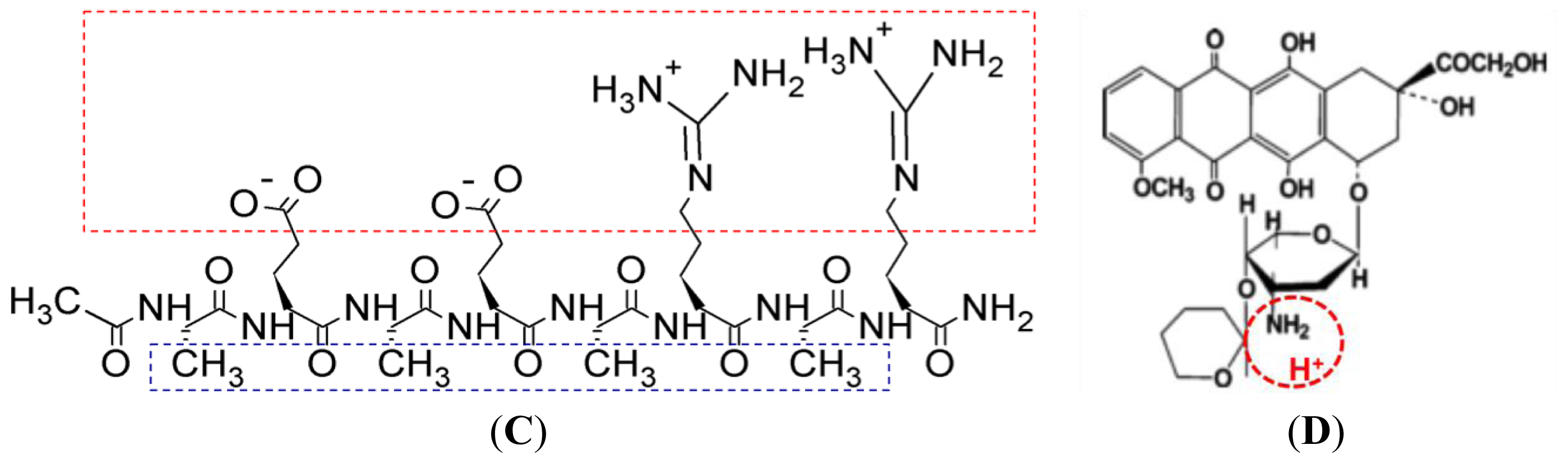 Ijms 14 23315f1b 1024