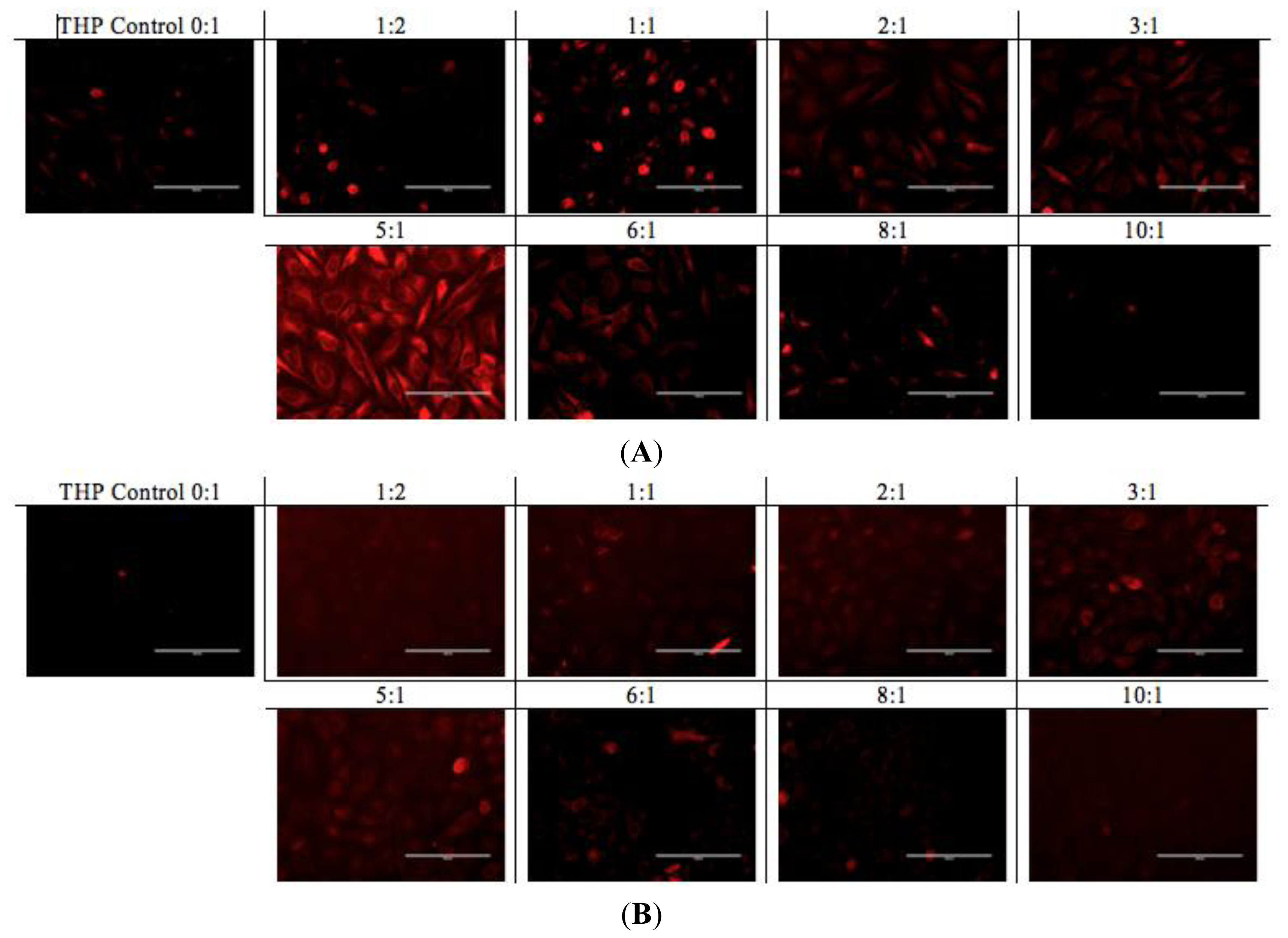 Ijms 14 23315f9 1024