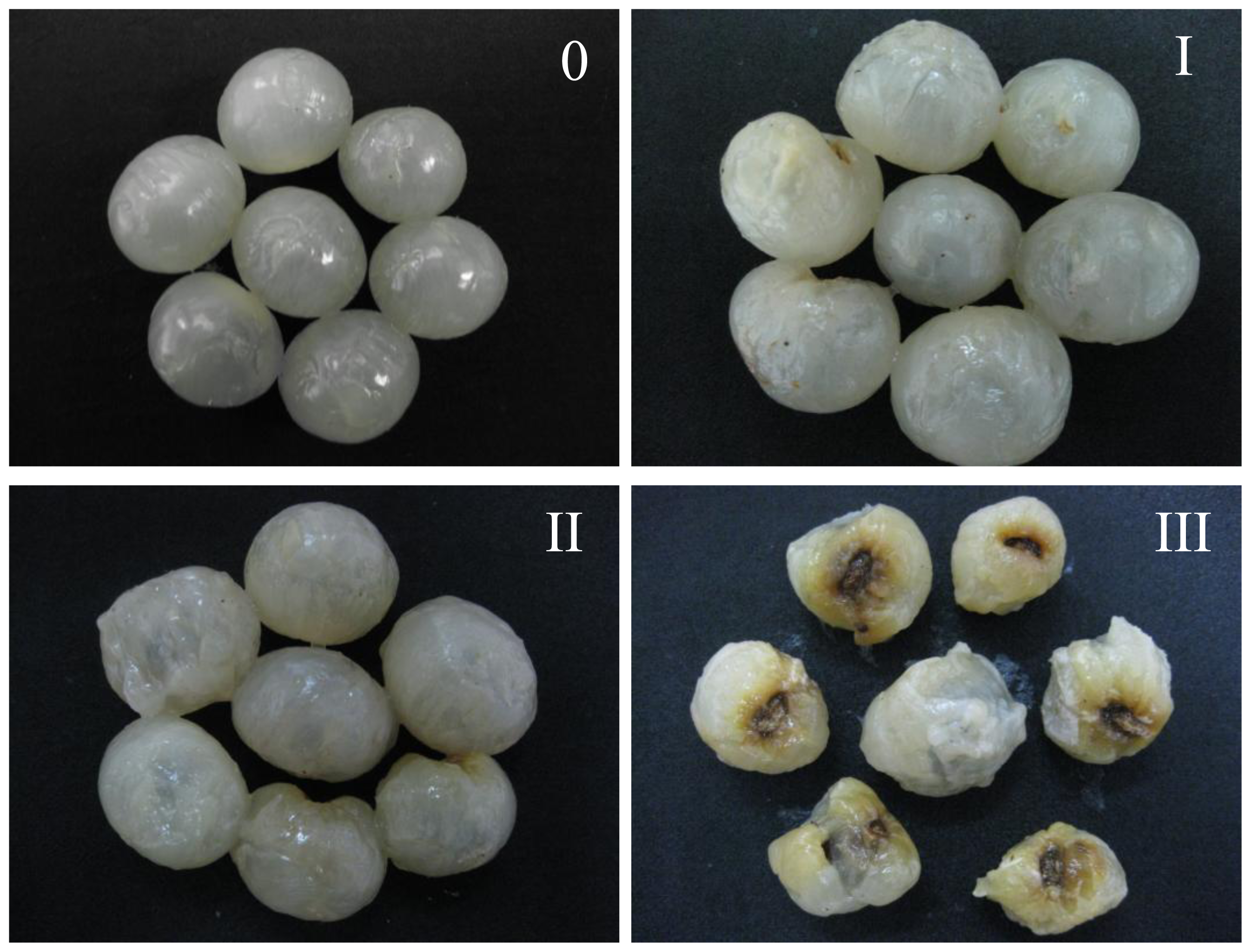 Ijms 14 23356f7 1024