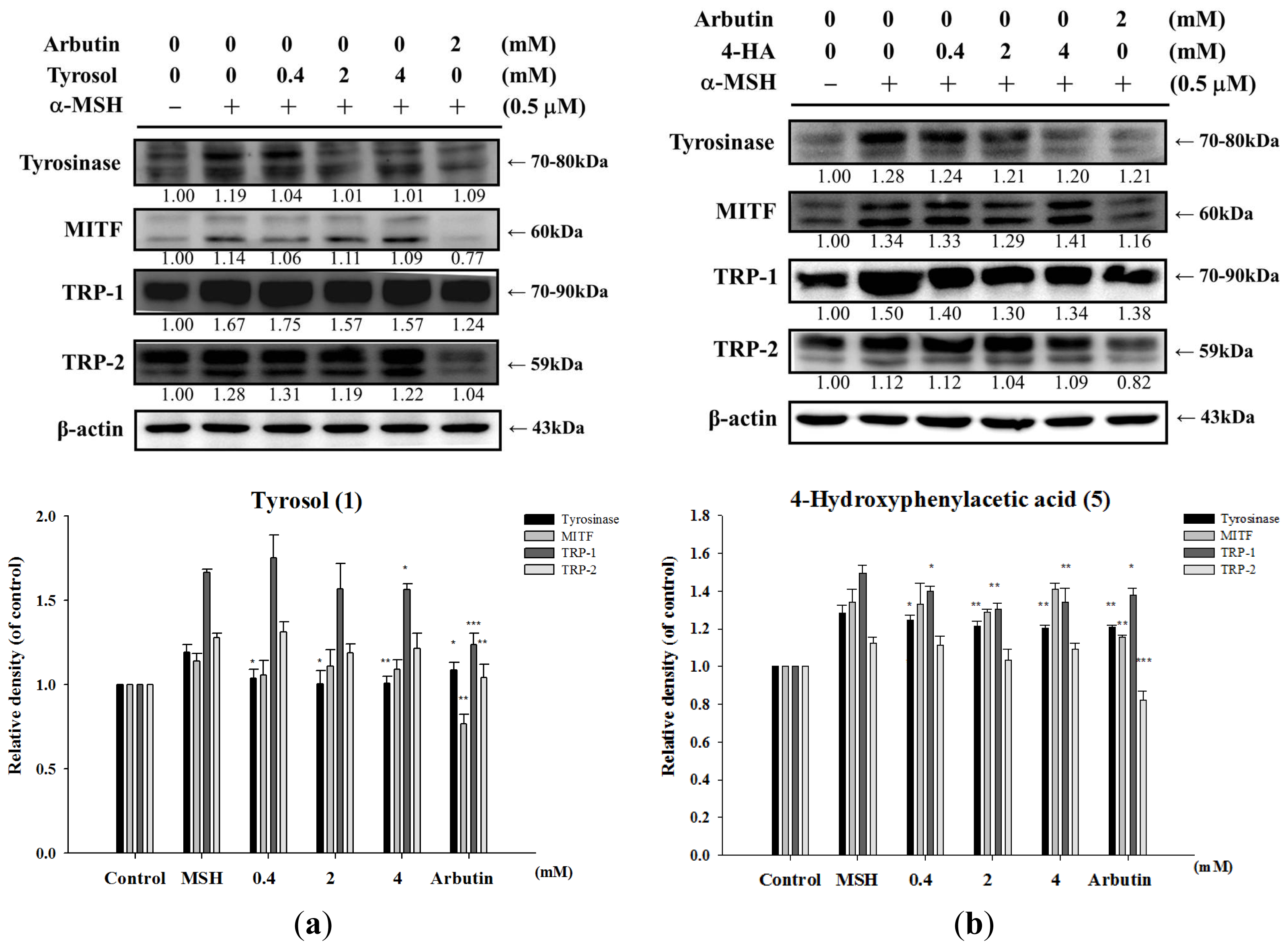 Ijms 14 23420f7a 1024
