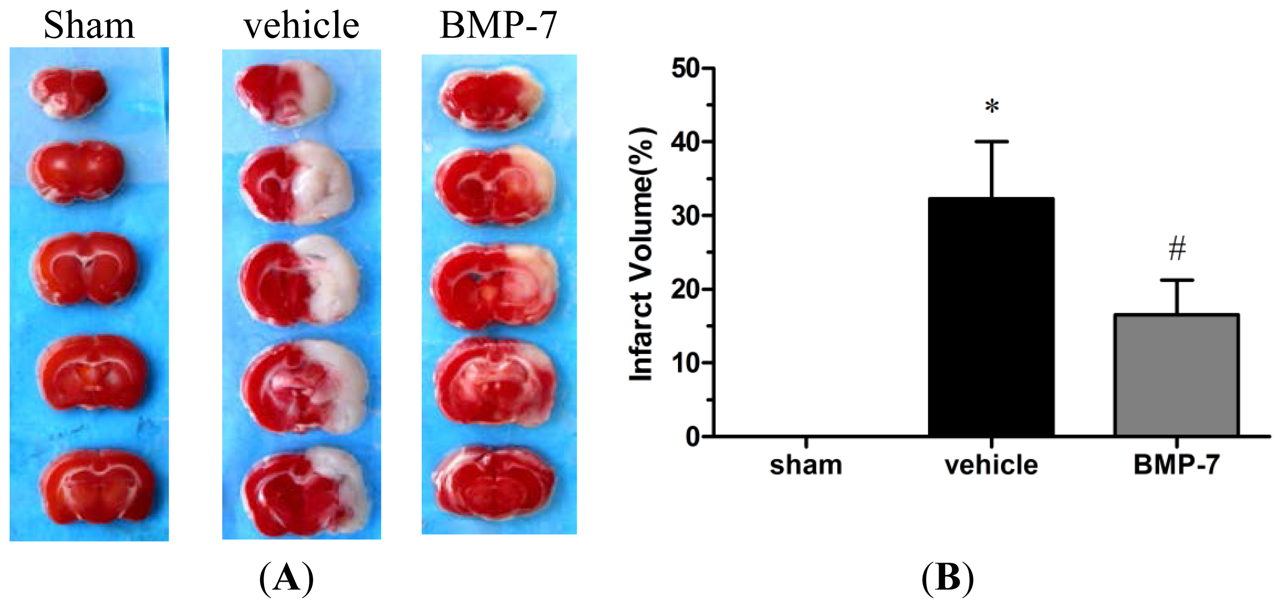 Ijms 14 23441f2 1024