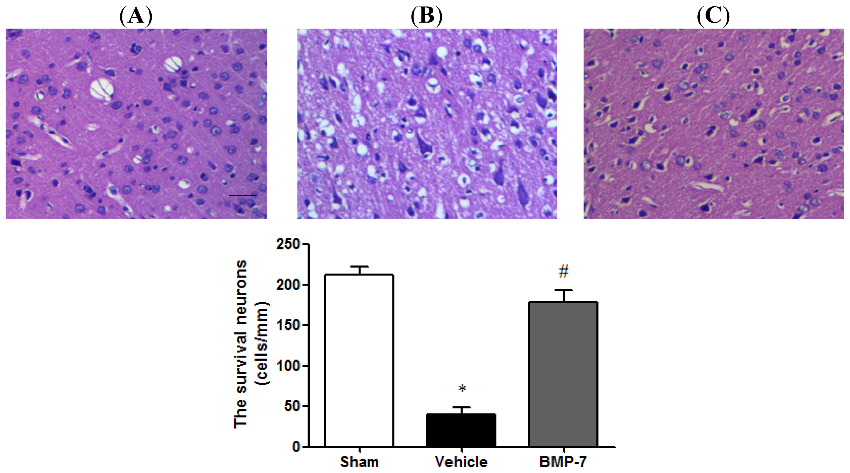 Ijms 14 23441f3 1024