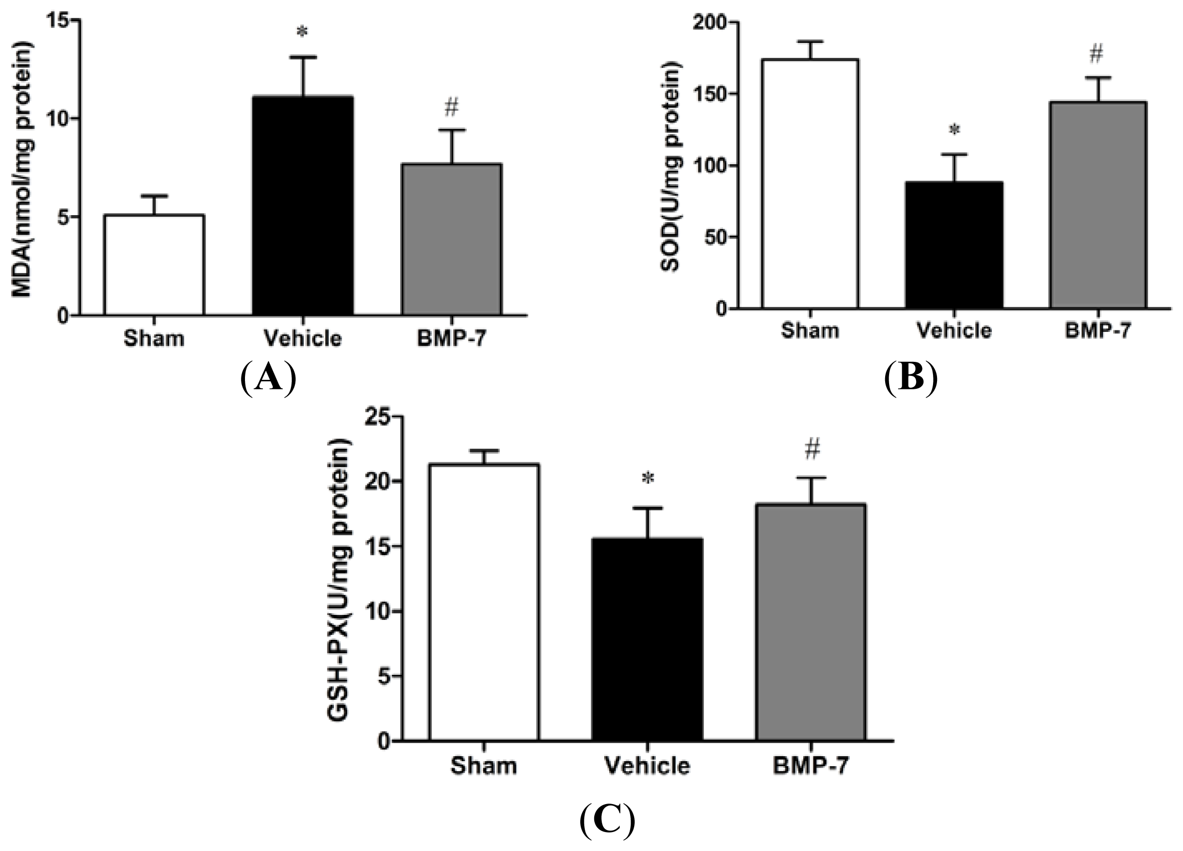 Ijms 14 23441f4 1024