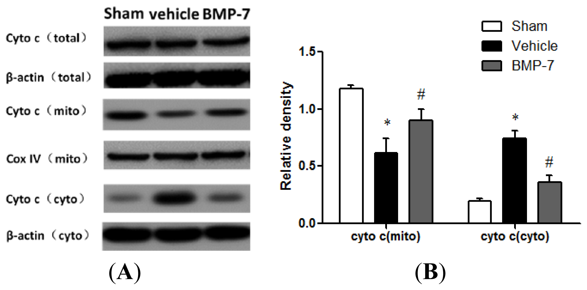 Ijms 14 23441f6 1024