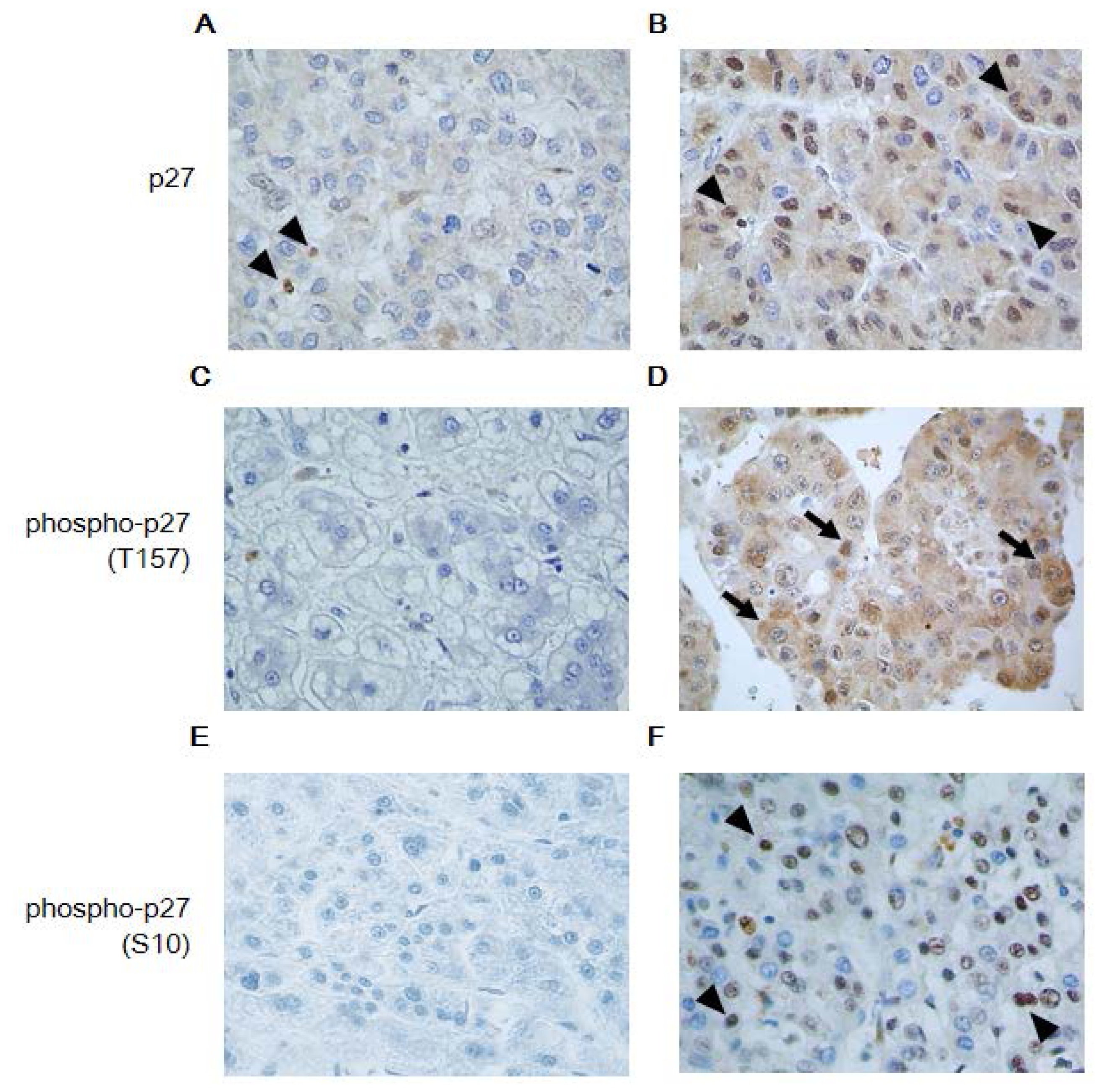 Ijms 14 23499f1 1024