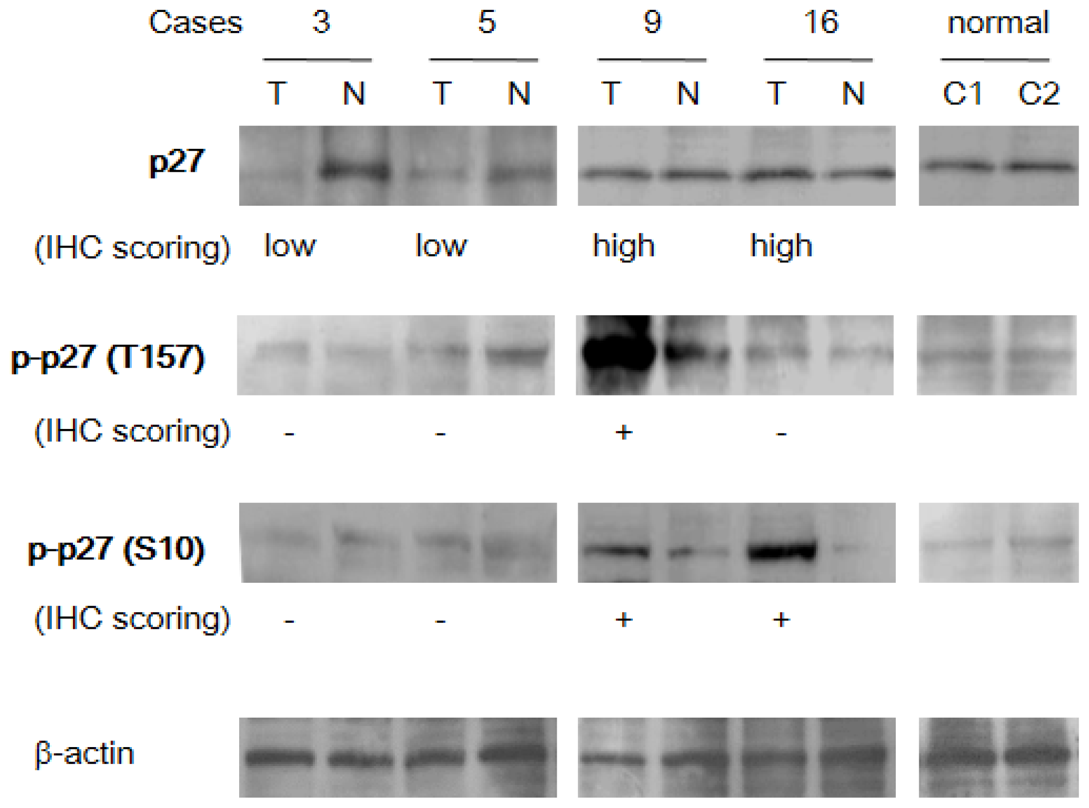 Ijms 14 23499f2 1024