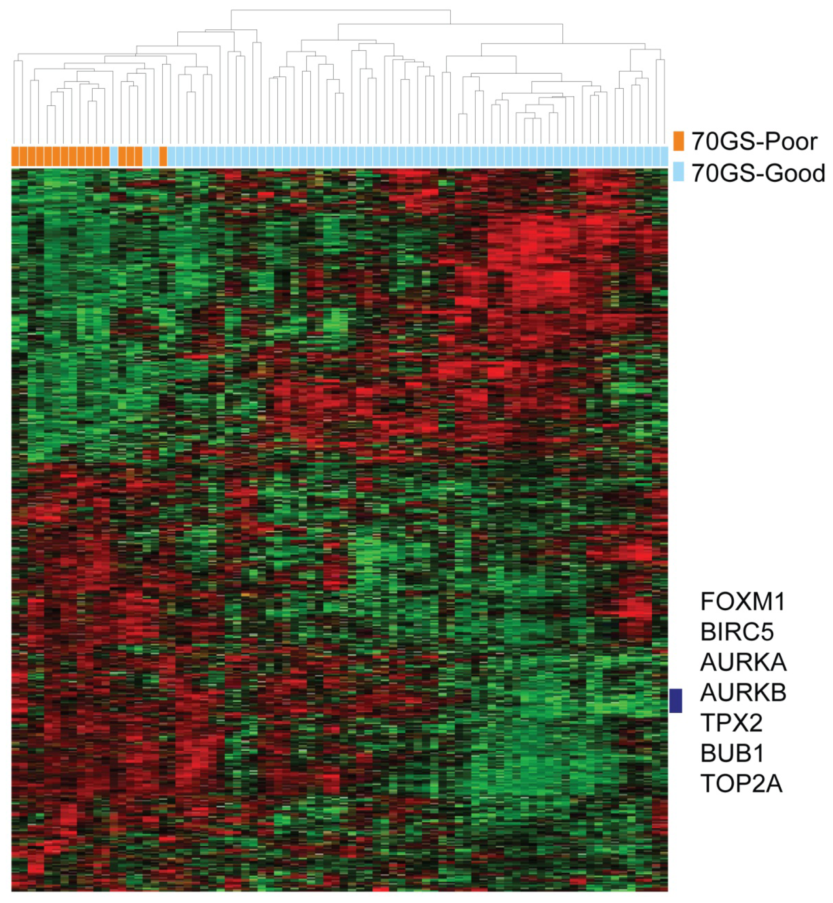 Ijms 14 23685f3 1024