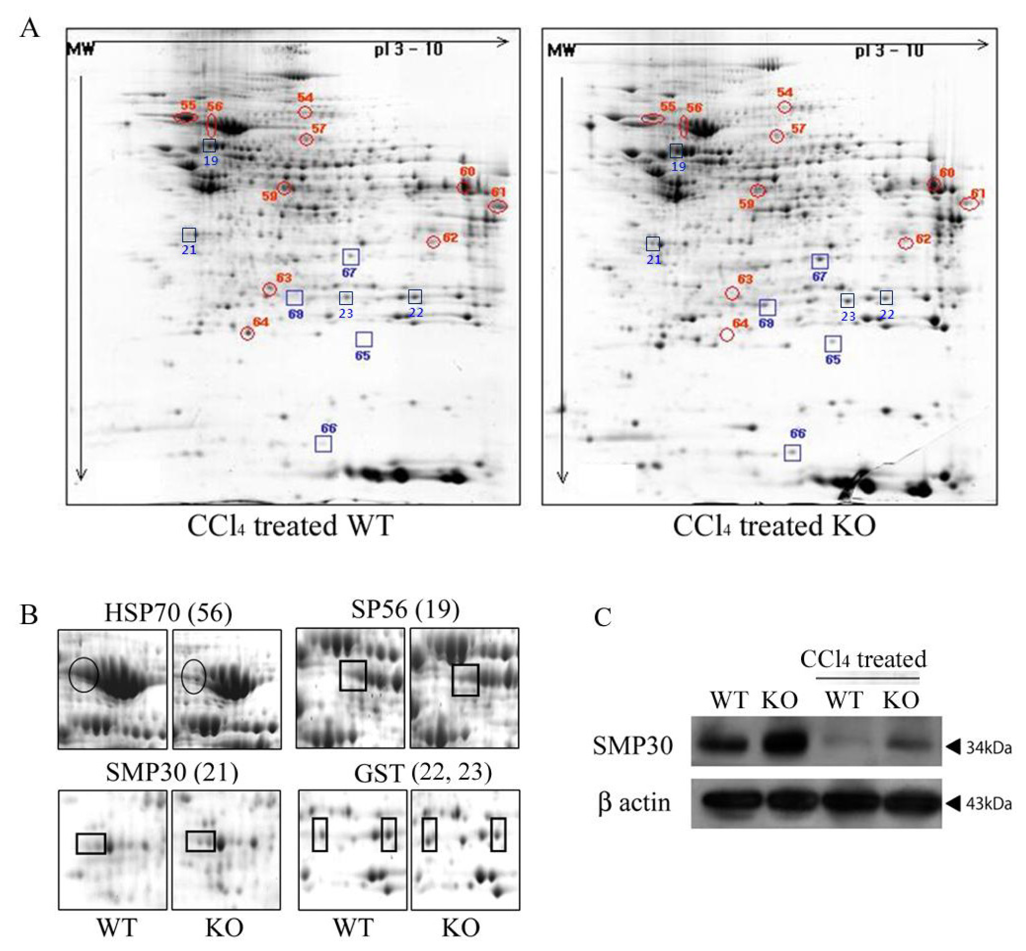 Ijms 14 23700f3 1024