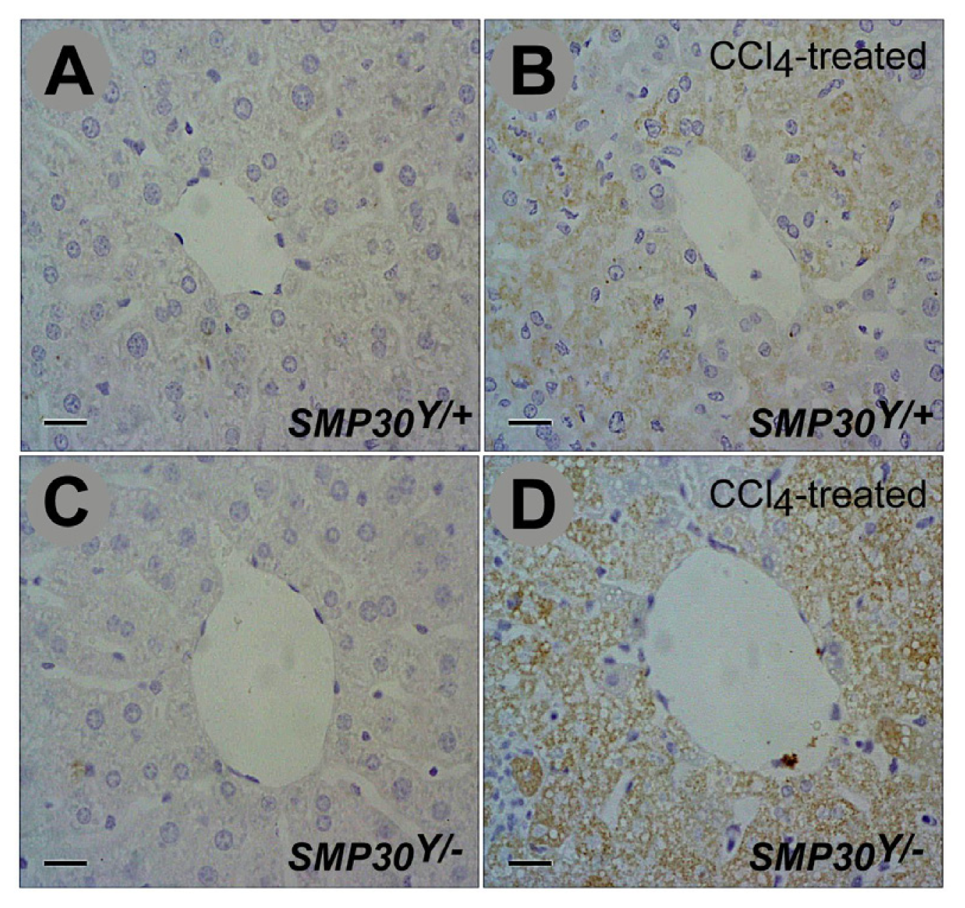 Ijms 14 23700f4 1024