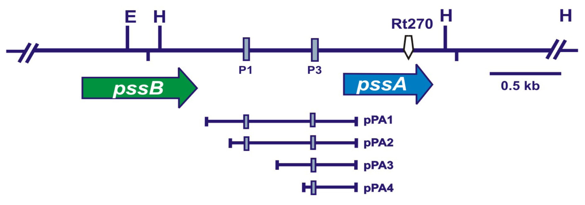 Ijms 14 23711f1 1024