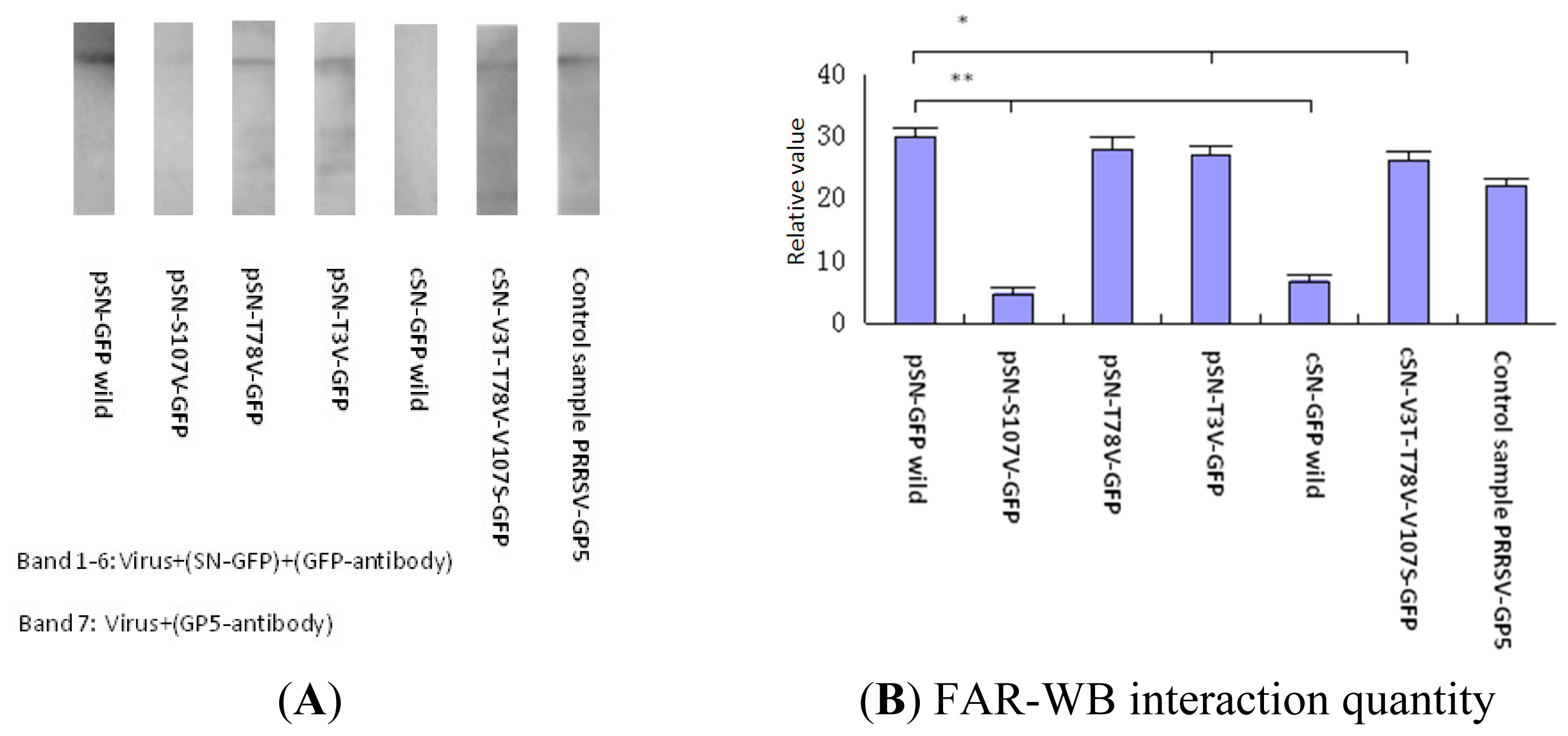 Ijms 14 23955f5 1024