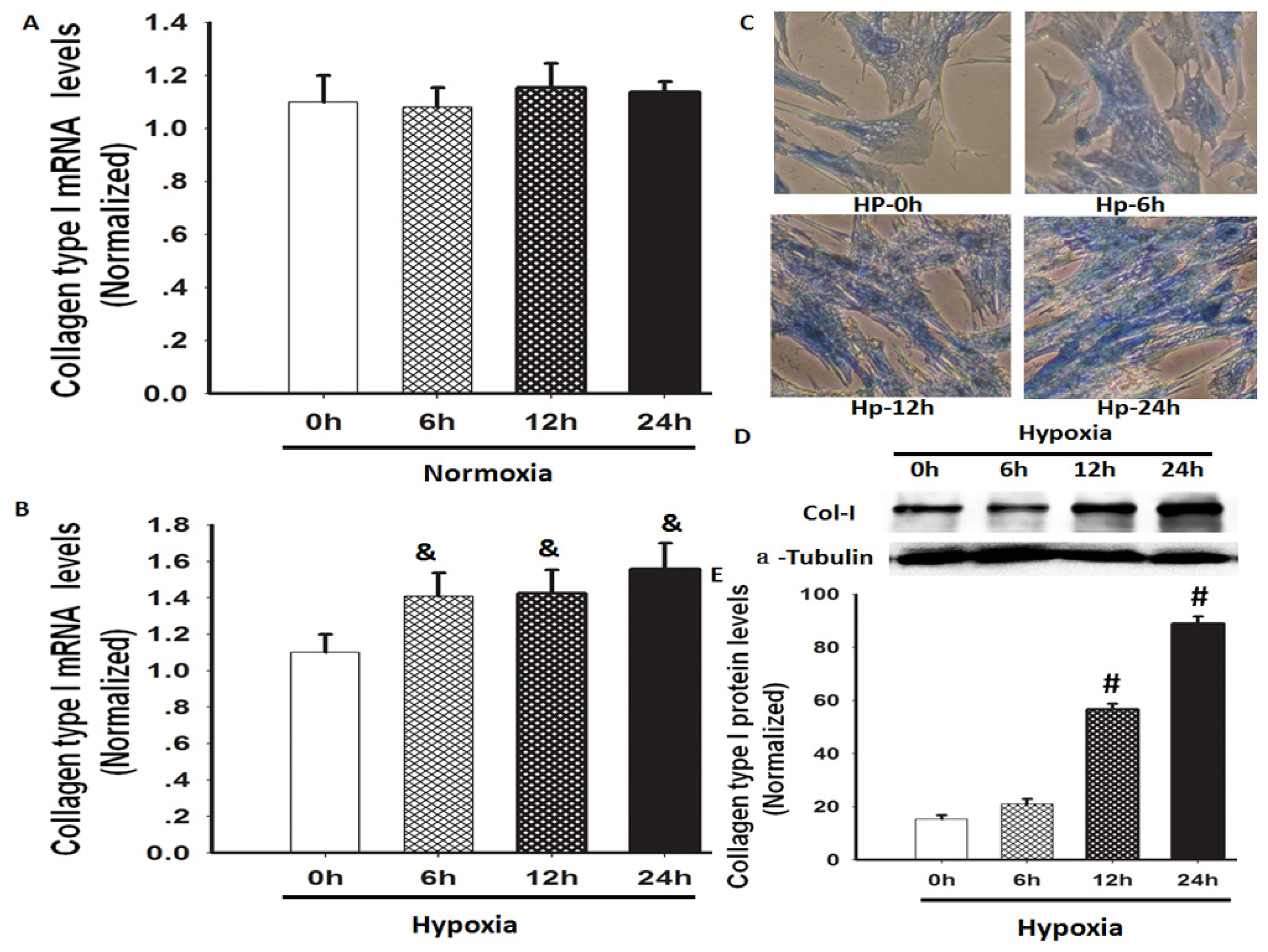 Ijms 14 24029f1 1024