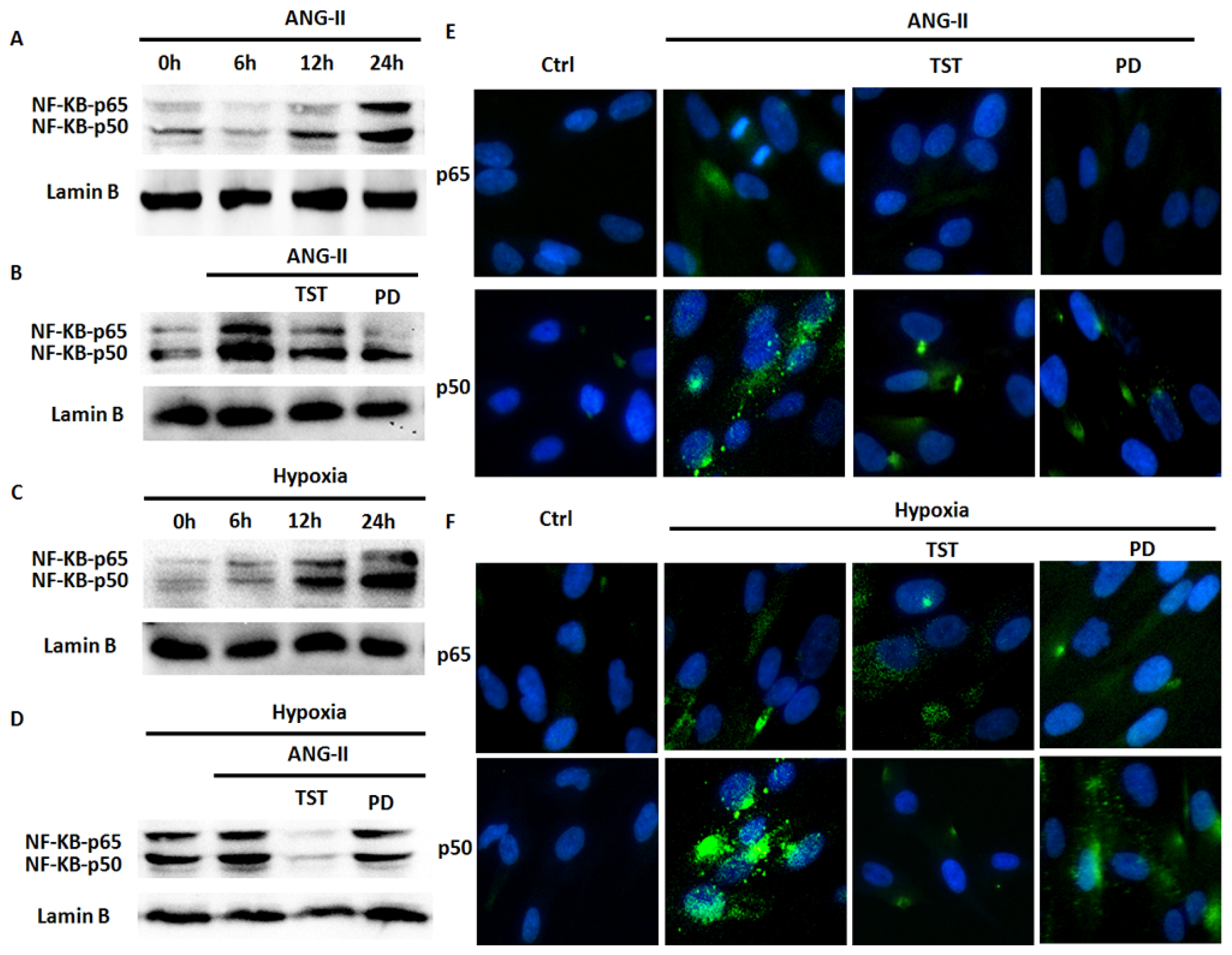 Ijms 14 24029f5 1024