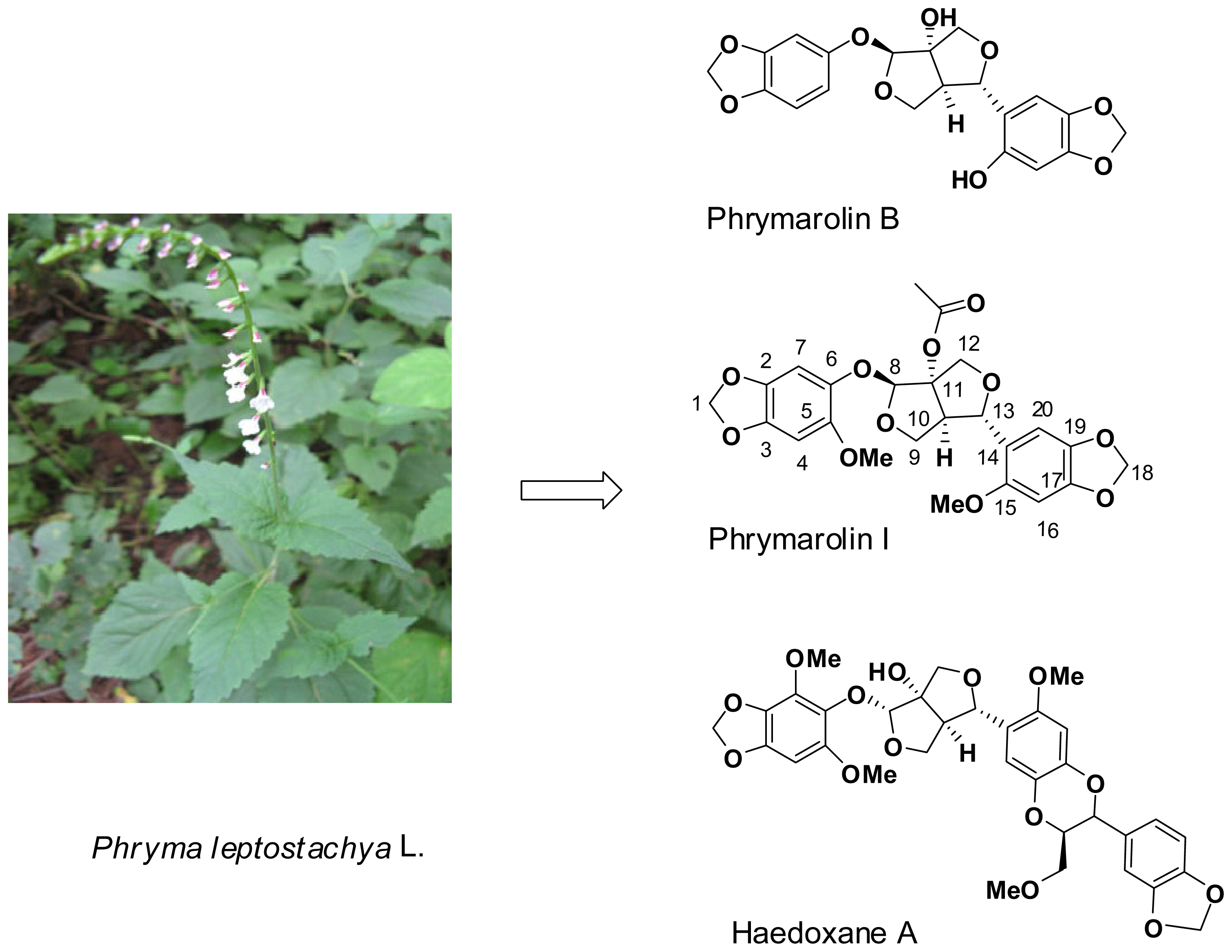 Ijms 14 24064f1 1024