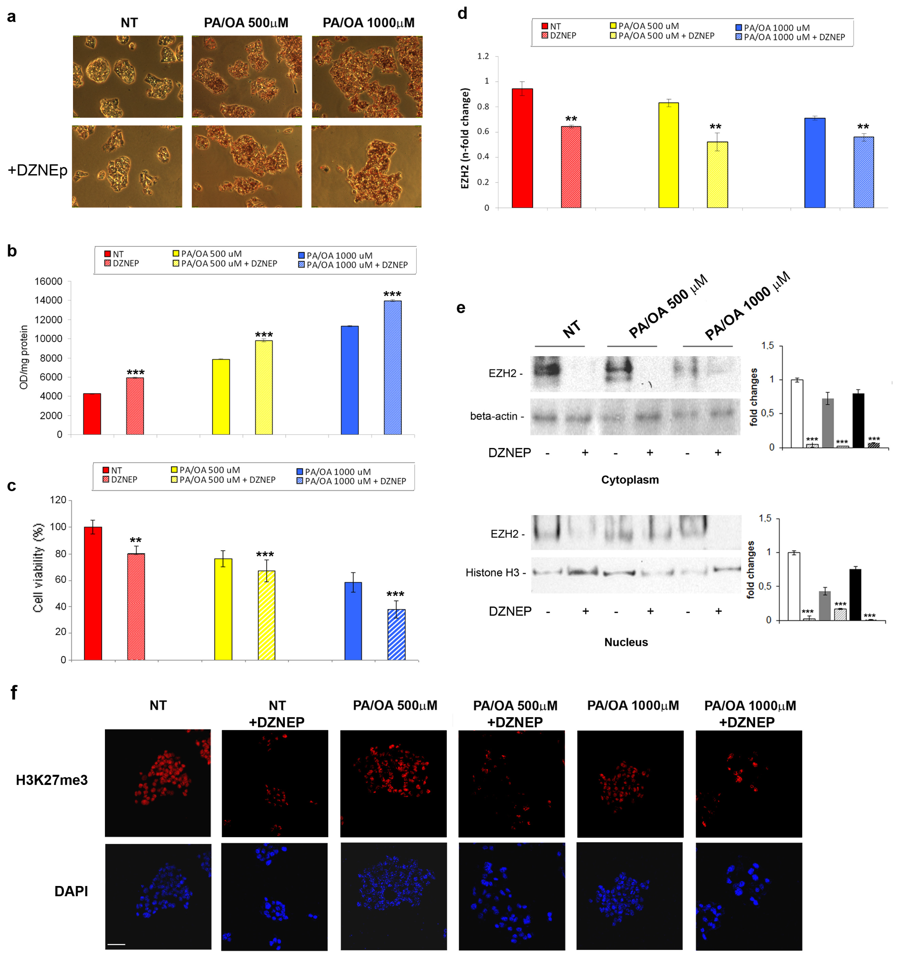 Ijms 14 24154f3 1024