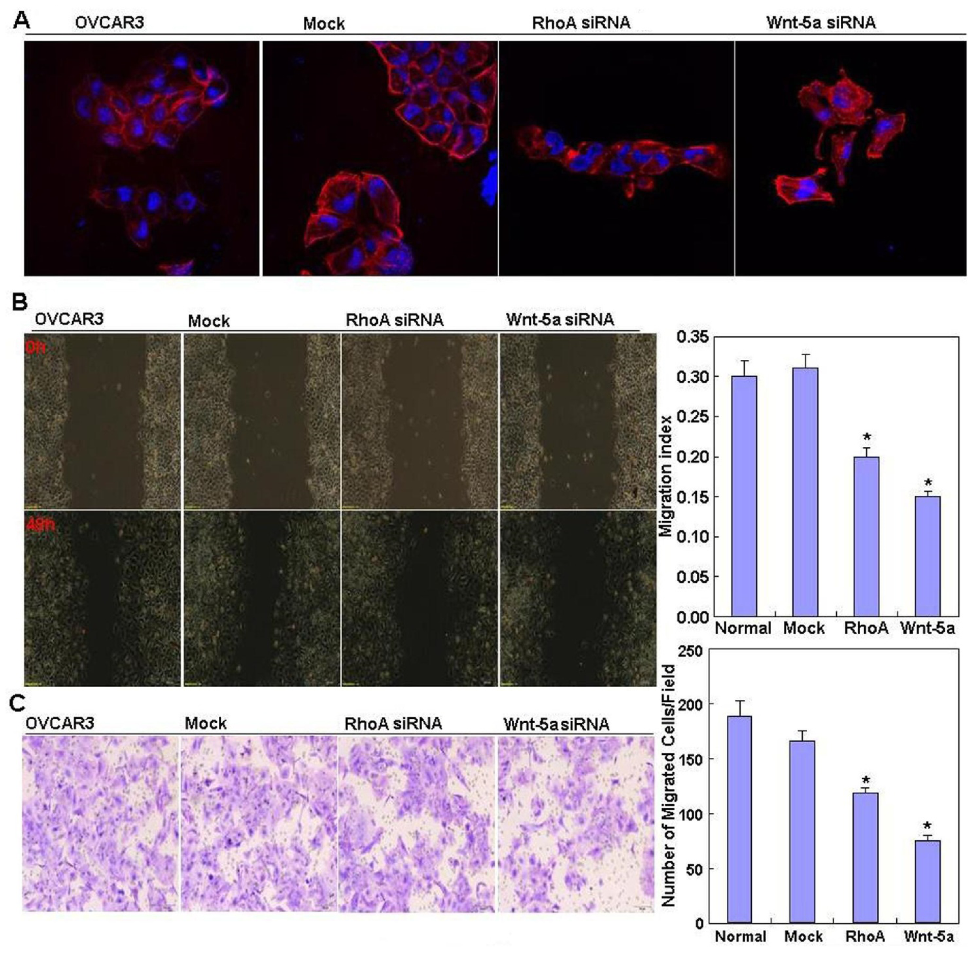 Ijms 14 24187f3 1024