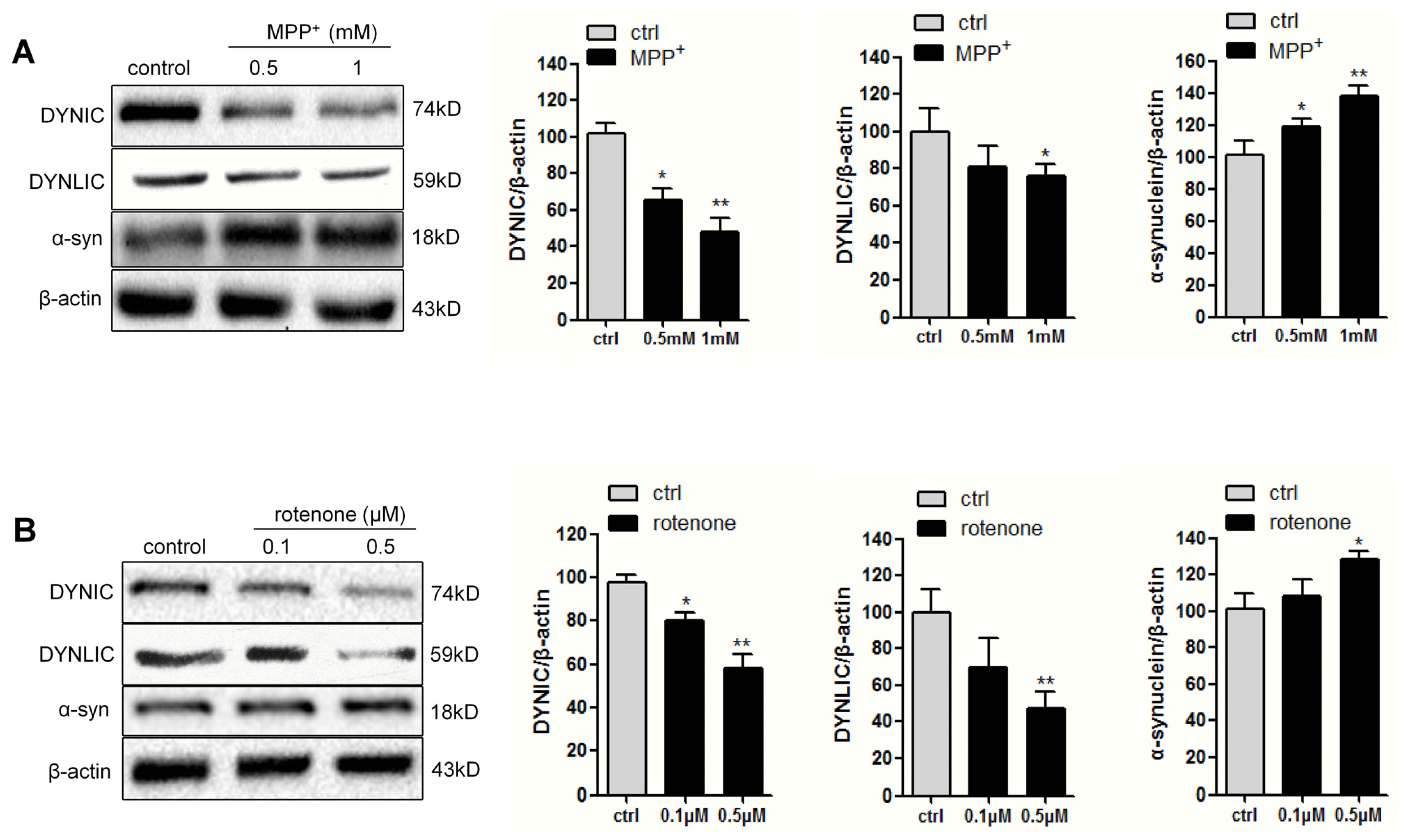 Ijms 14 24242f1 1024