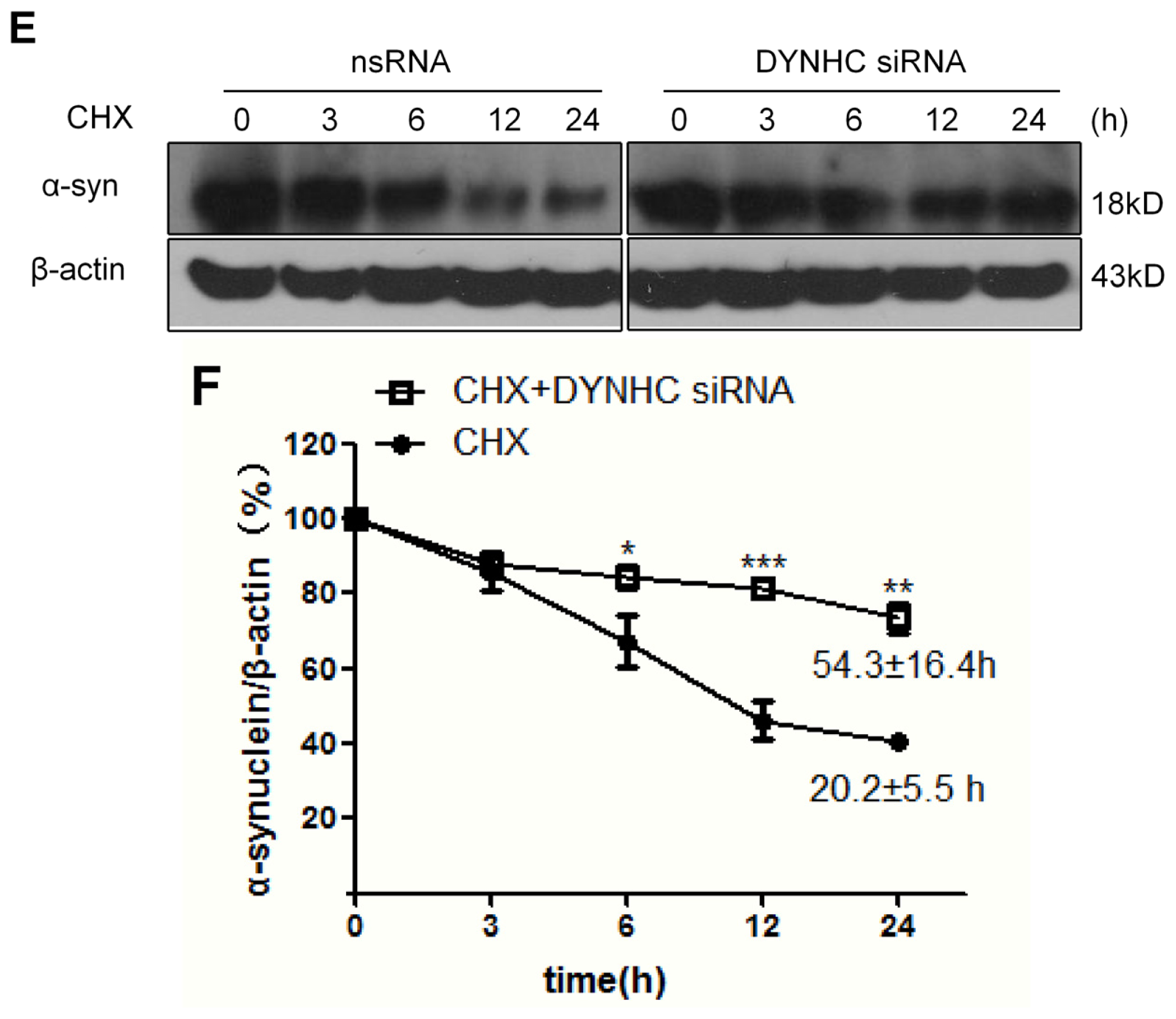 Ijms 14 24242f2b 1024