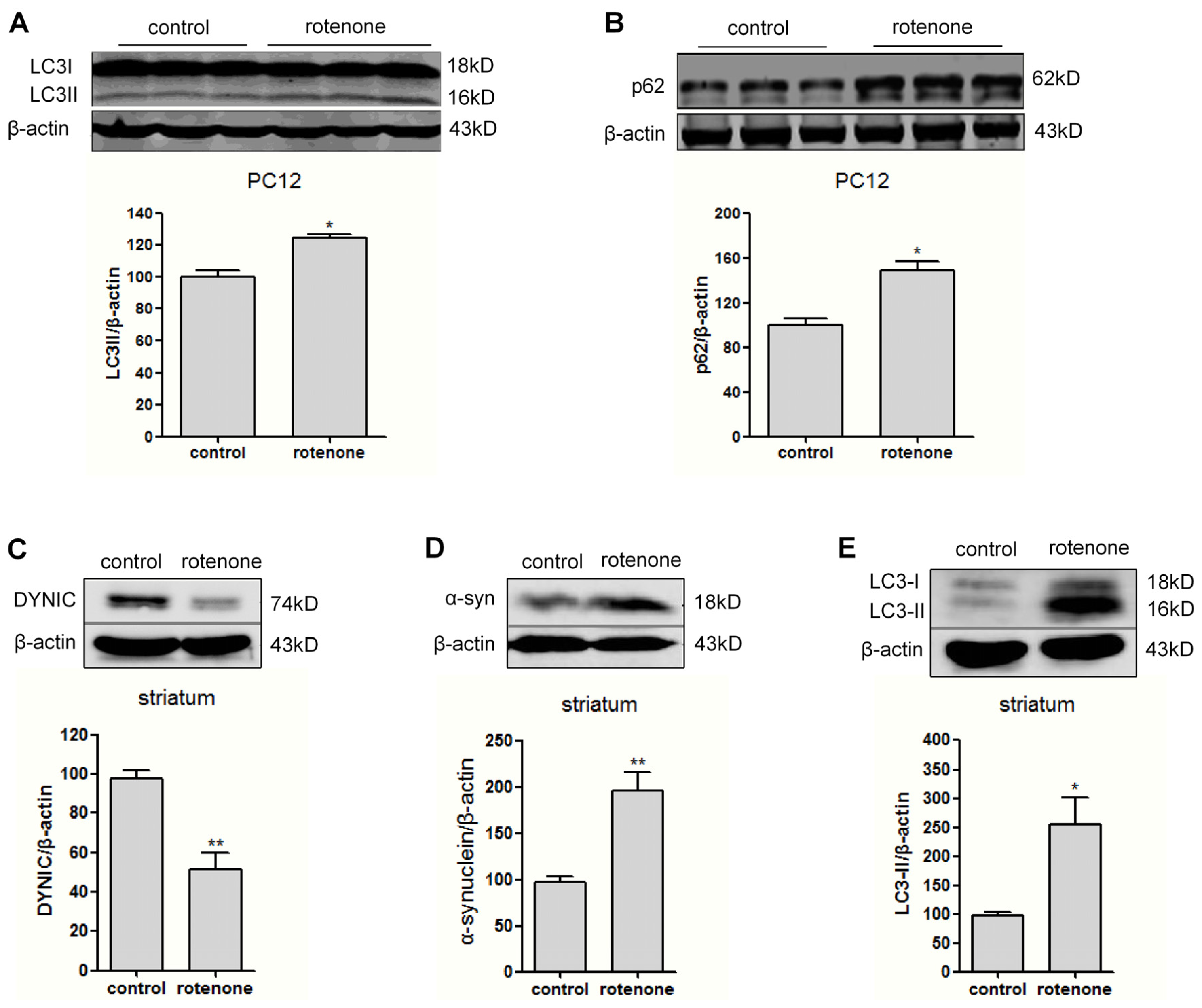 Ijms 14 24242f3 1024