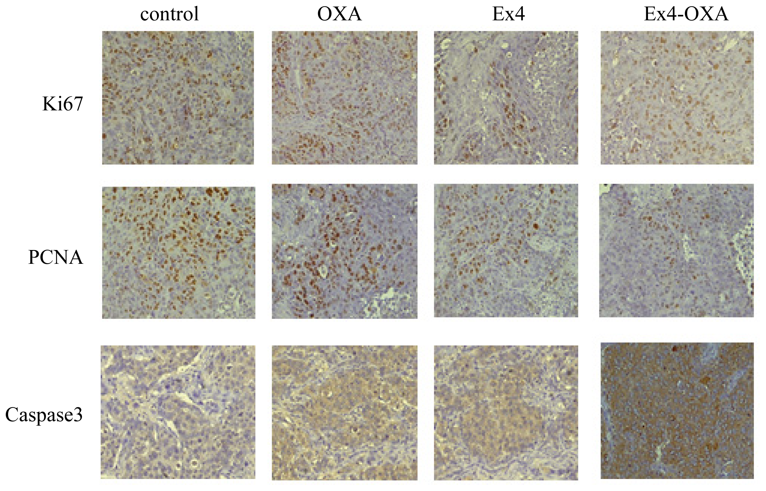 Ijms 14 24293f10 1024