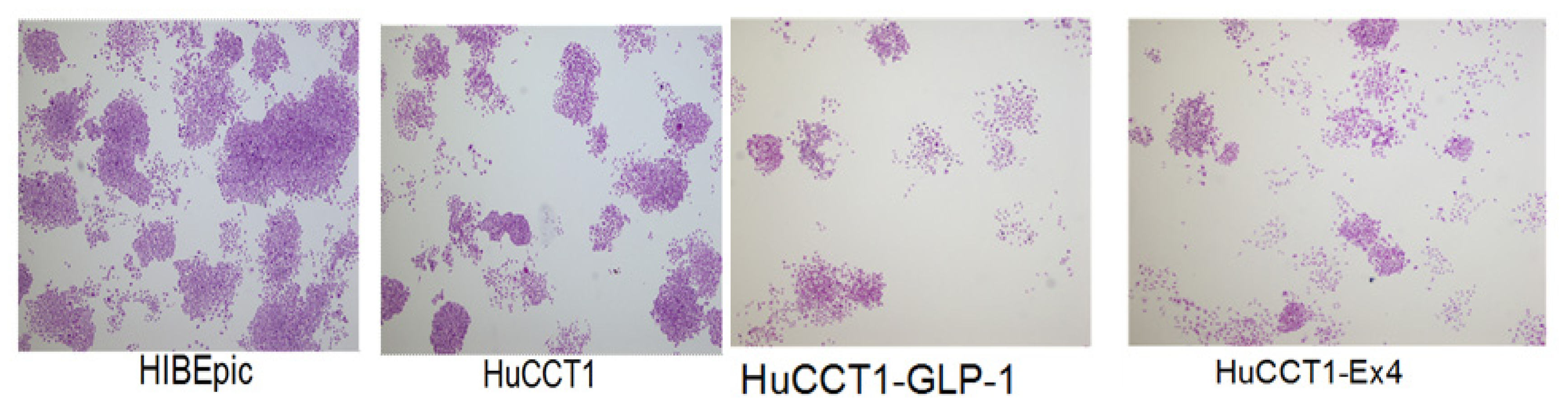 Ijms 14 24293f2 1024