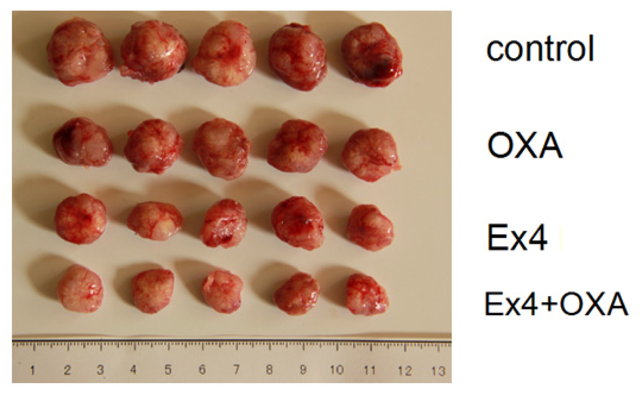 Ijms 14 24293f7 1024