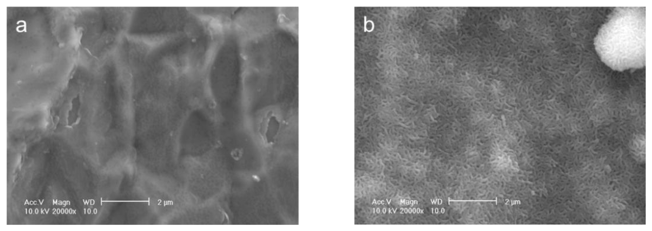 Ijms 14 24366f1 1024