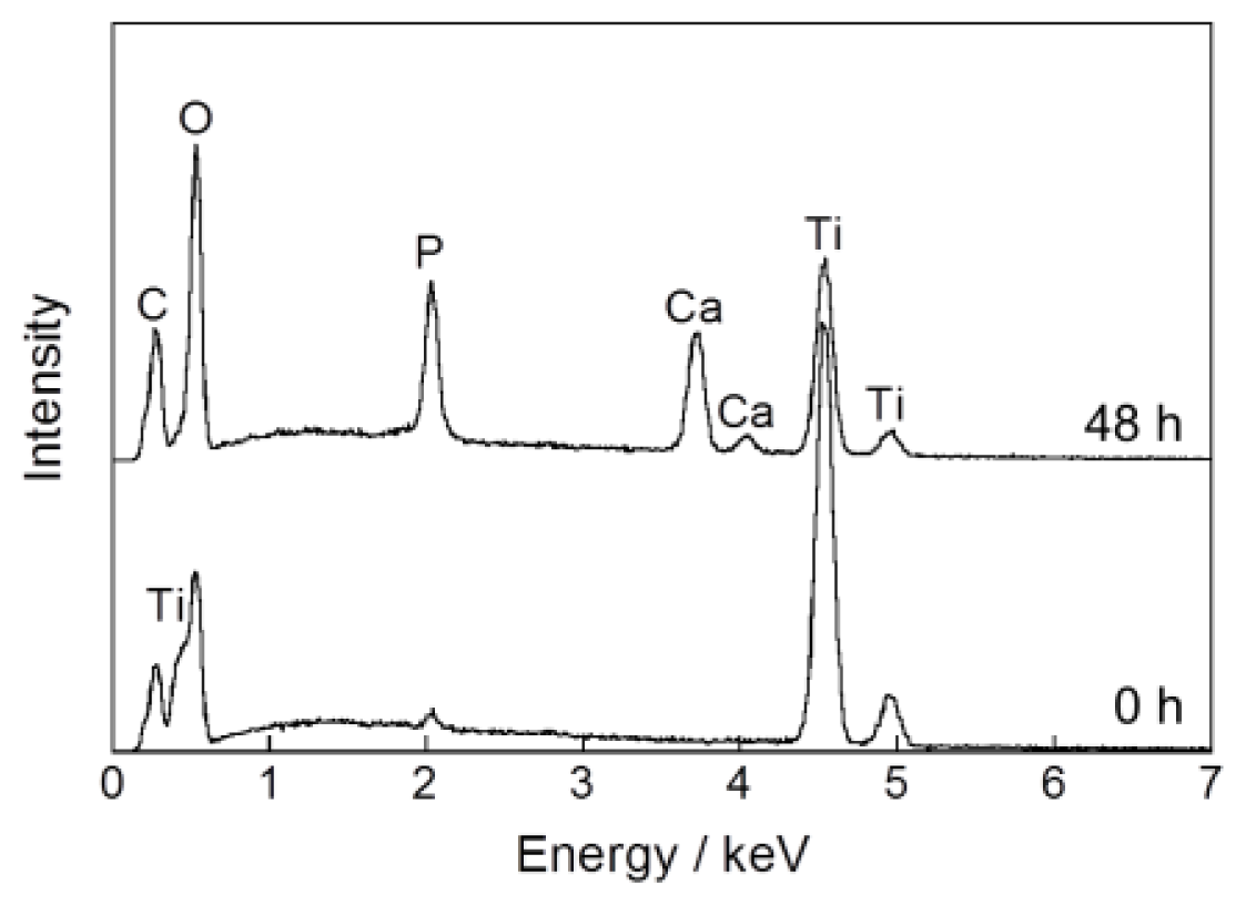Ijms 14 24366f2 1024