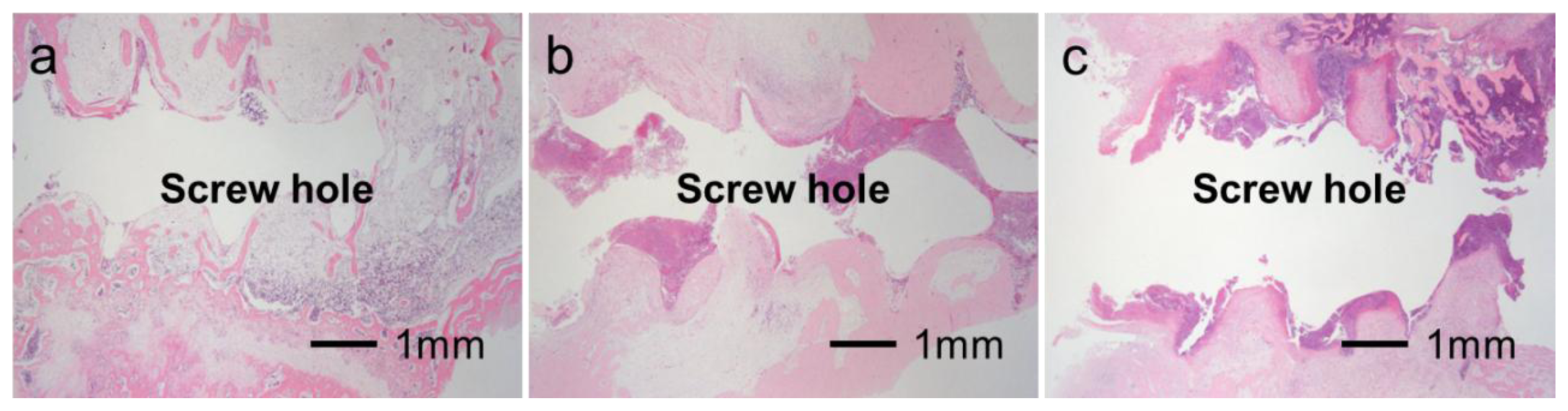 Ijms 14 24366f6 1024