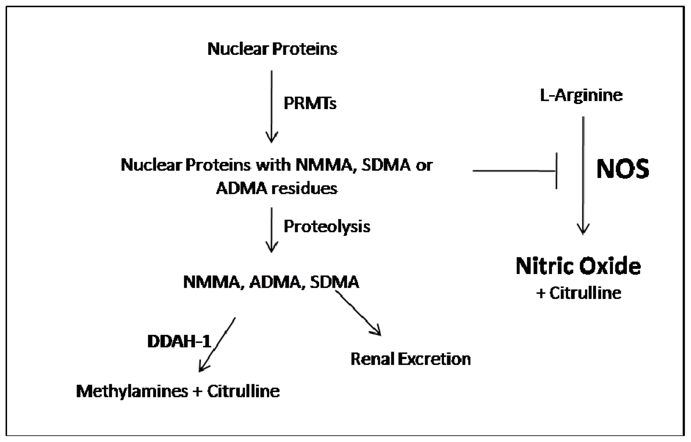 Ijms 14 24412f1