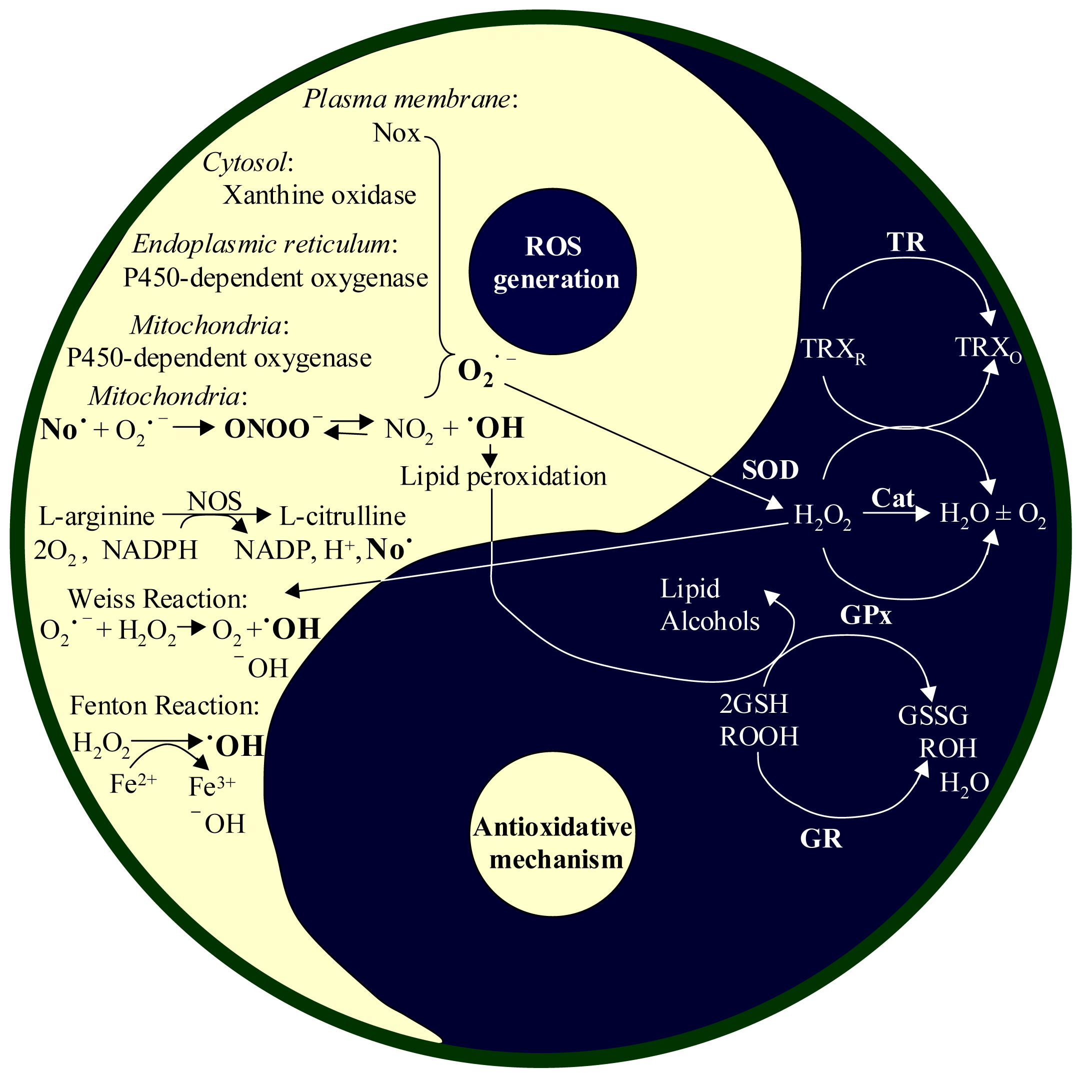 Ijms 14 24438f1