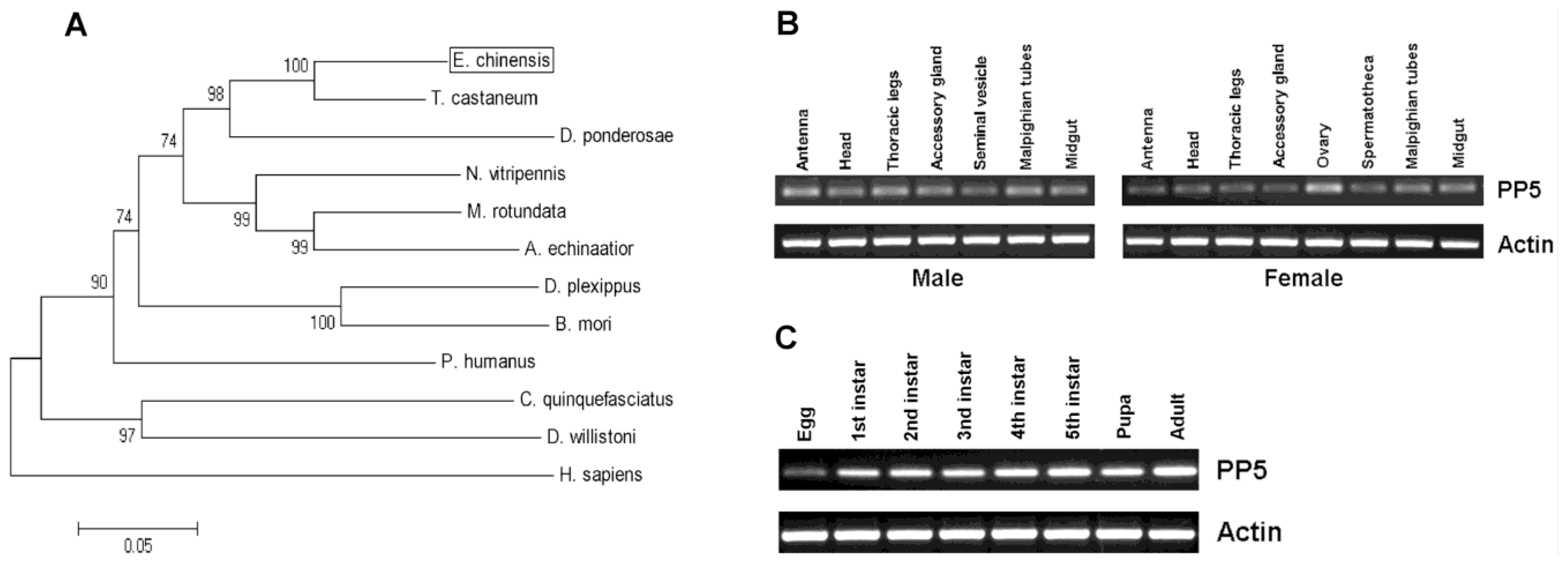 Ijms 14 24501f2 1024