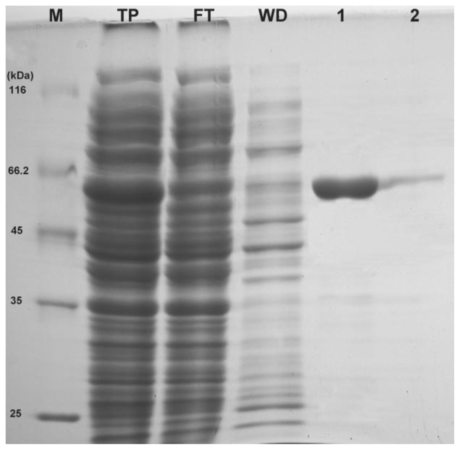 Ijms 14 24501f3 1024