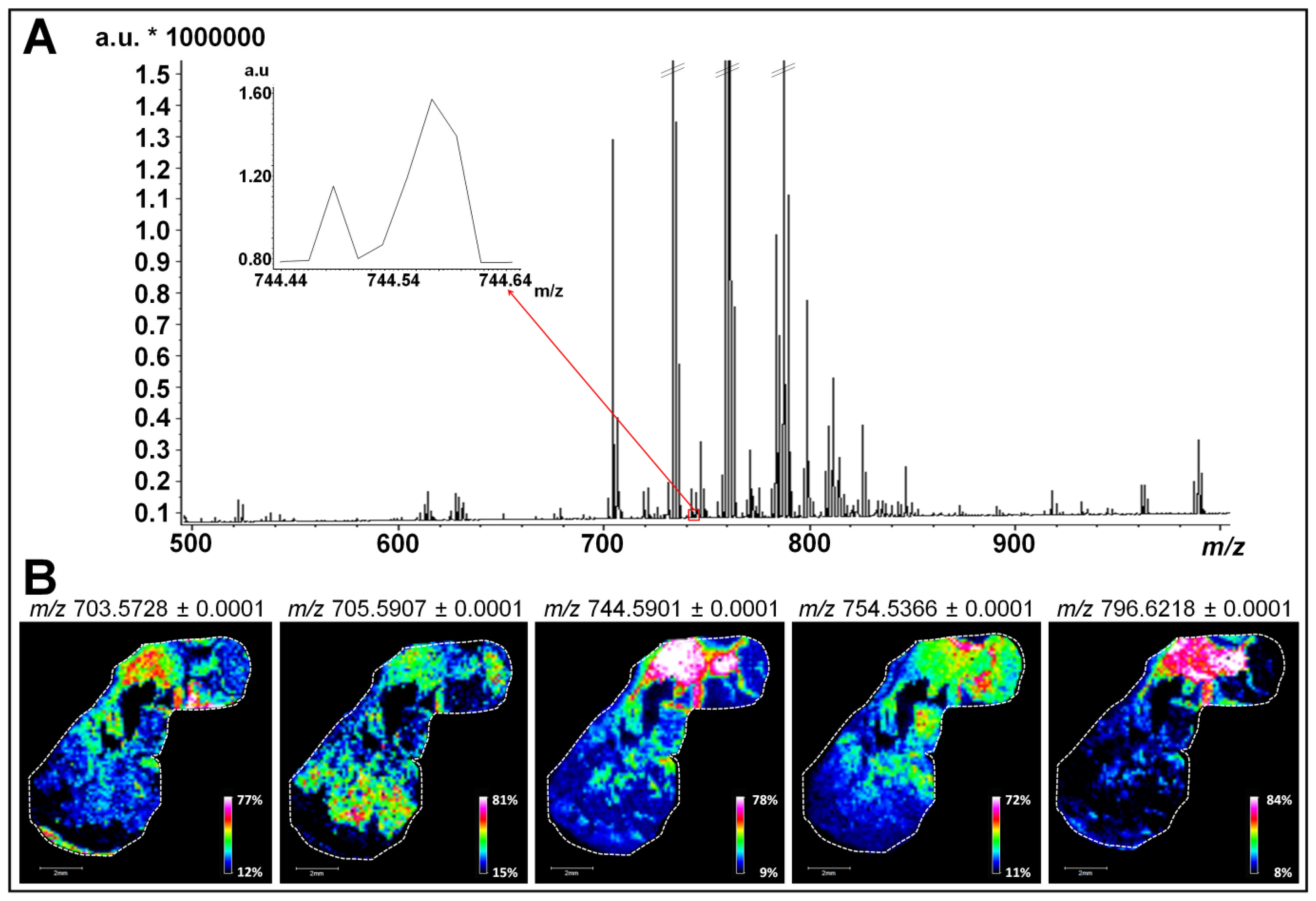 IJMS Free FullText Towards Lipidomics of LowAbundant Species for