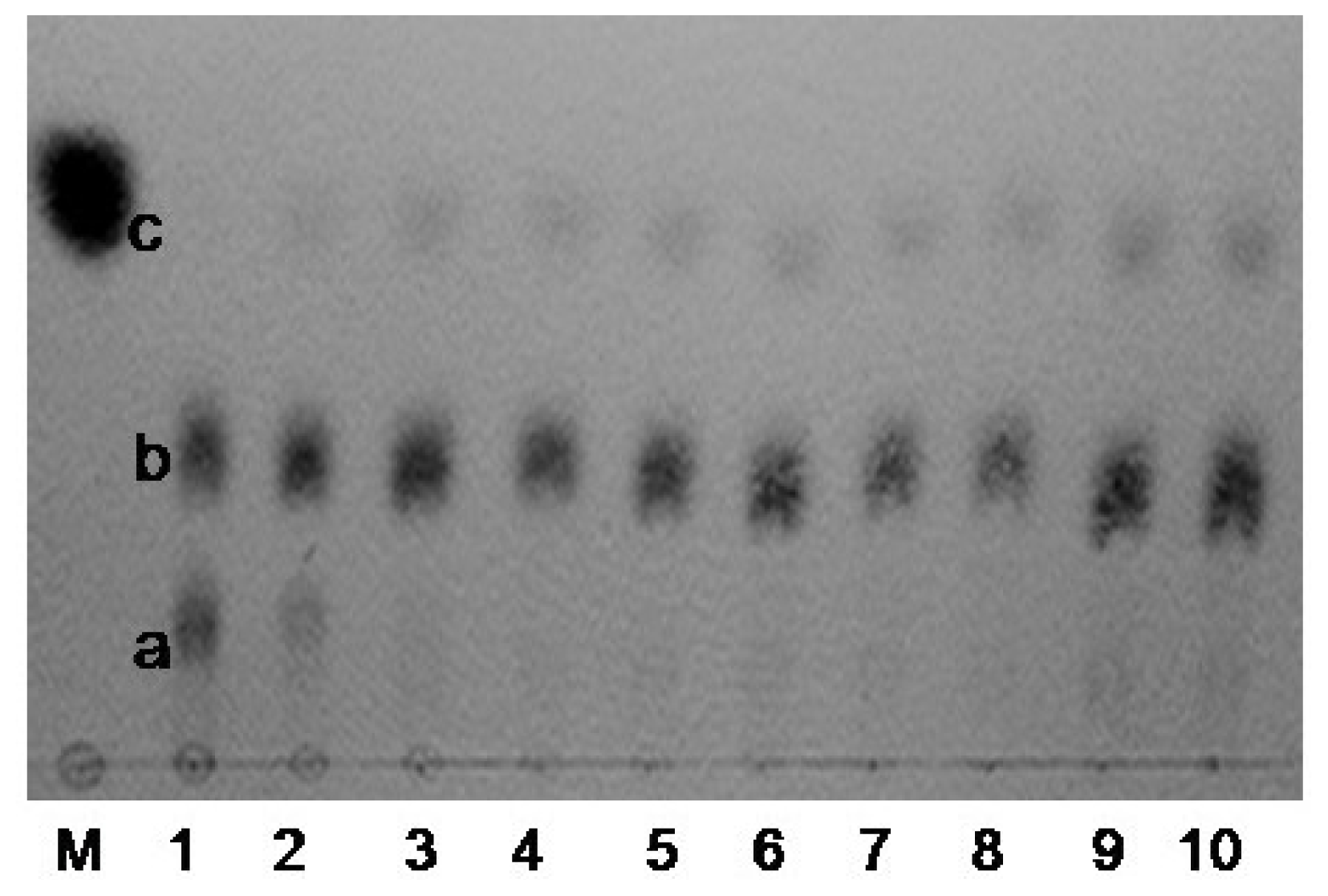 Ijms 14 24592f6 1024