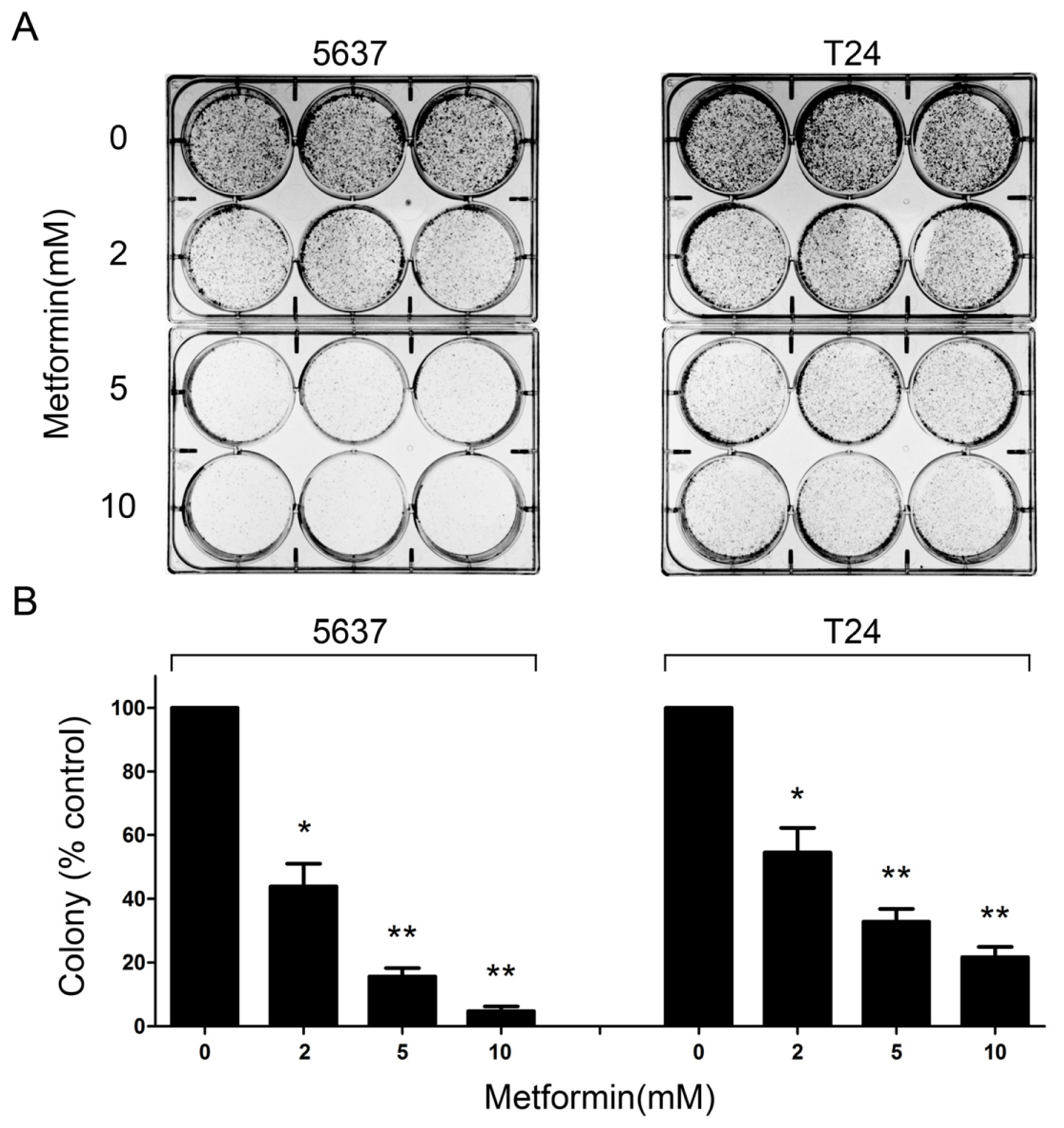 Ijms 14 24603f2 1024