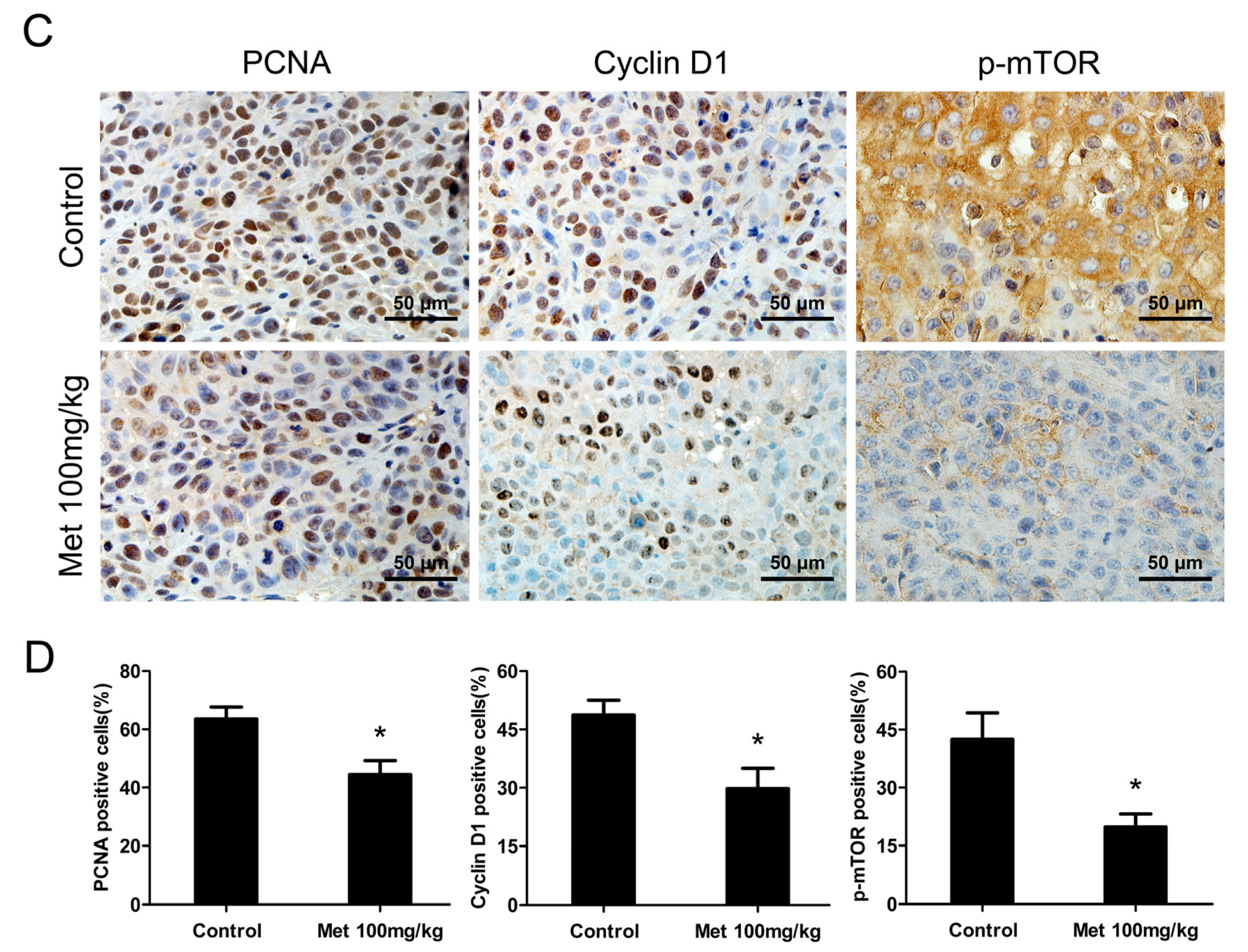 Ijms 14 24603f5b 1024