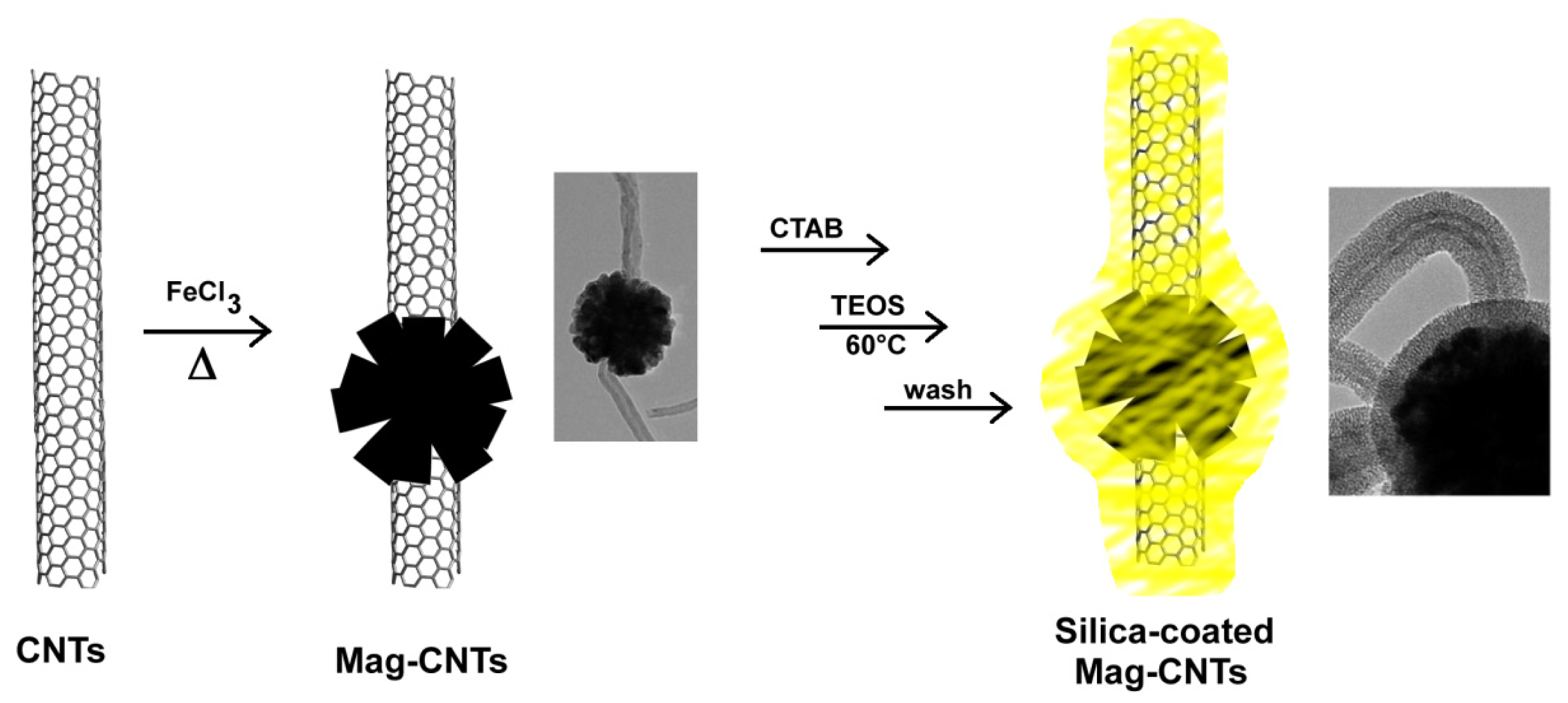 Ijms 14 24619f10 1024