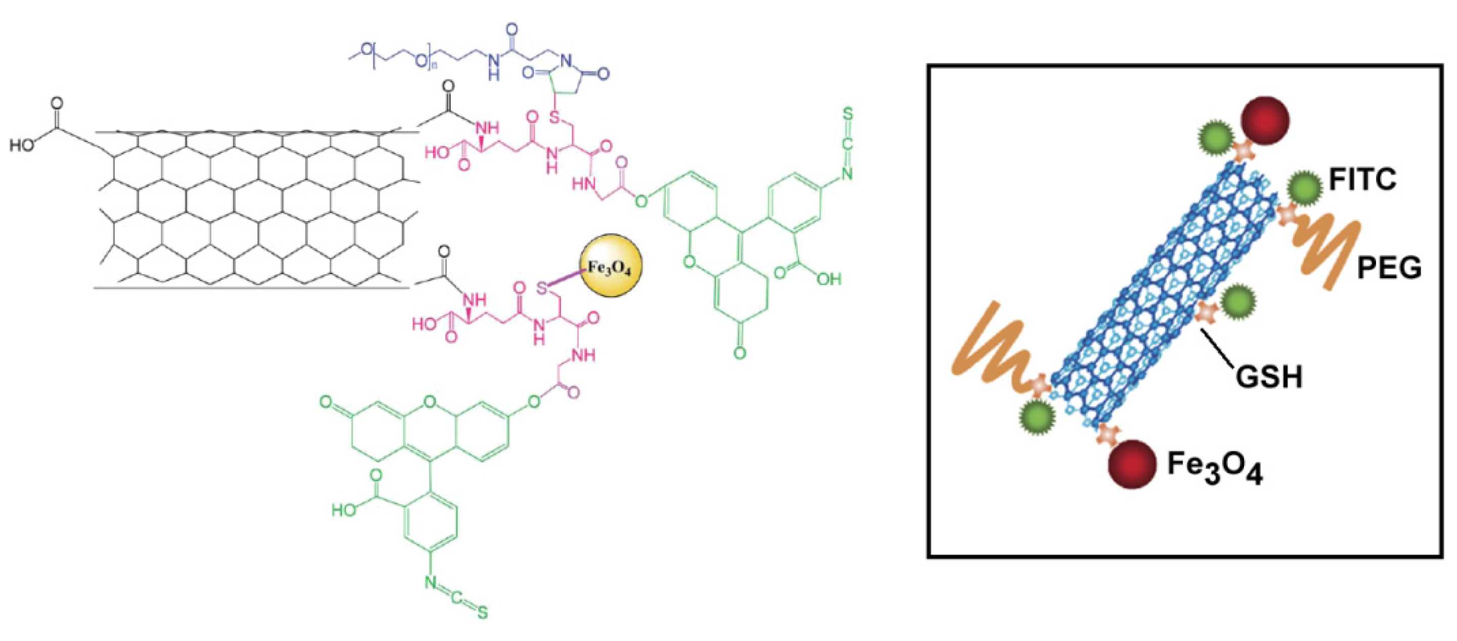 Ijms 14 24619f15 1024