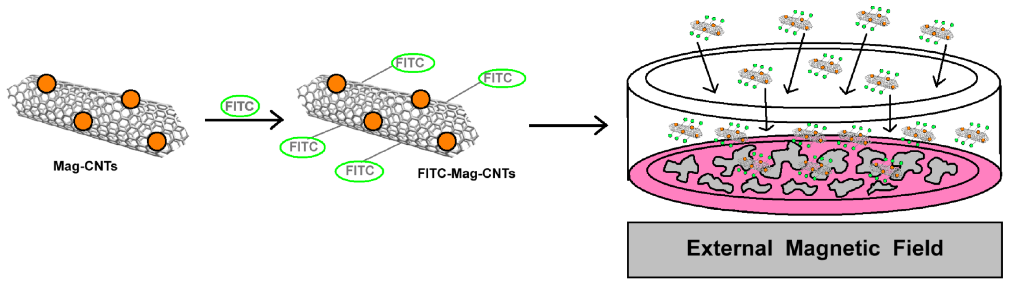 Ijms 14 24619f17 1024