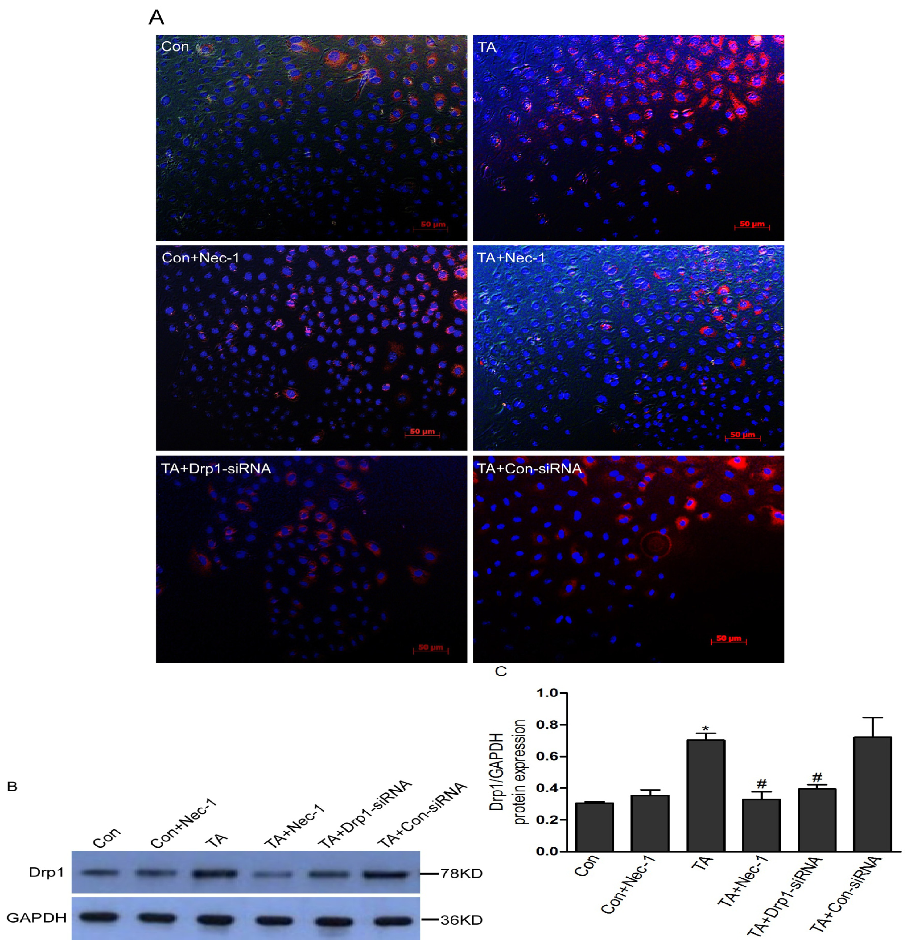 Ijms 14 24742f4 1024