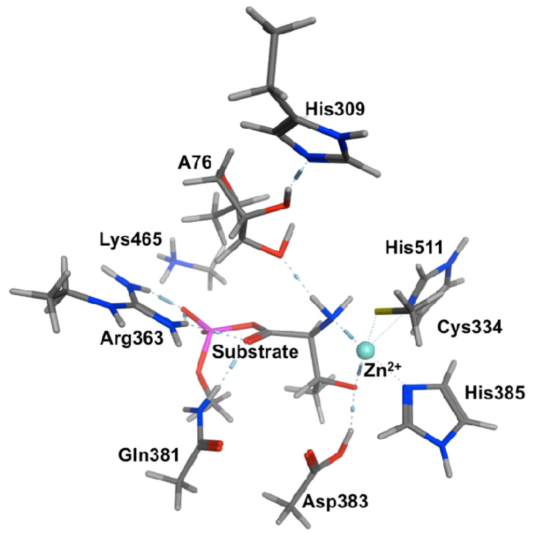 A hierarchy of timescales in protein dynamics is linked to enzyme catalysis